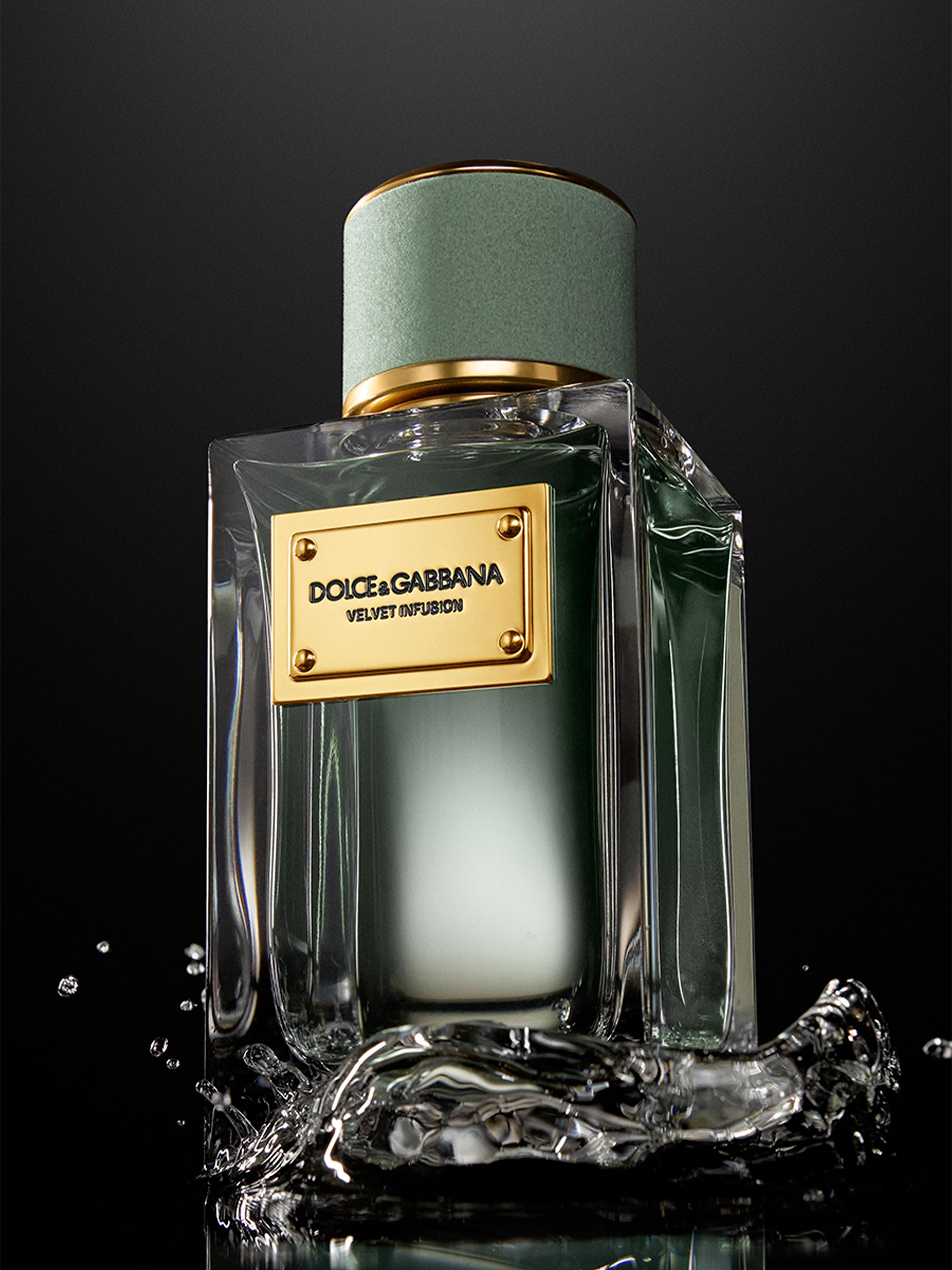 Dolce&Gabbana Velvet Infusion Eau de Parfum | Saks Fifth Avenue