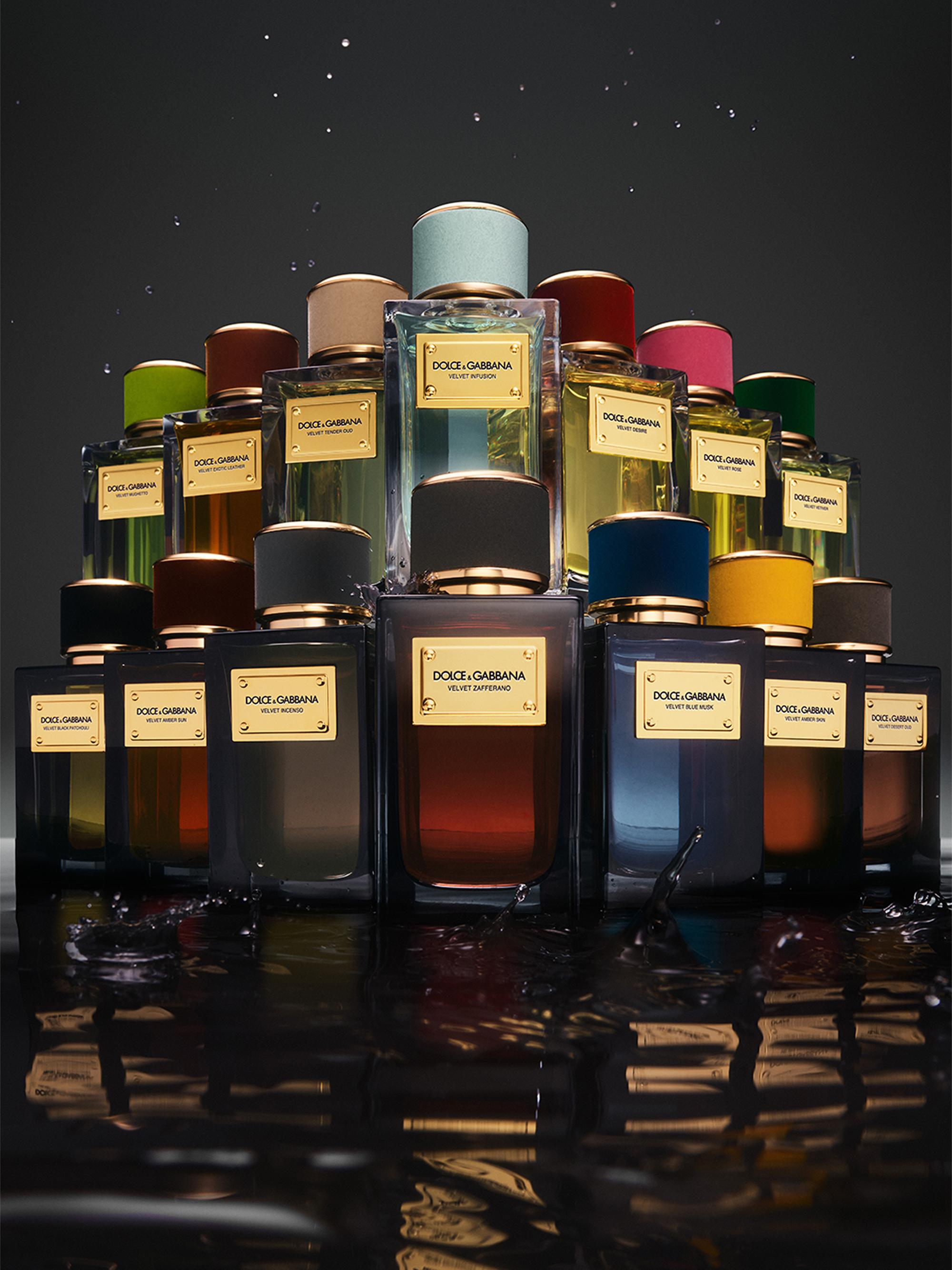 Dolce&Gabbana Velvet Infusion Eau de Parfum | Saks Fifth Avenue