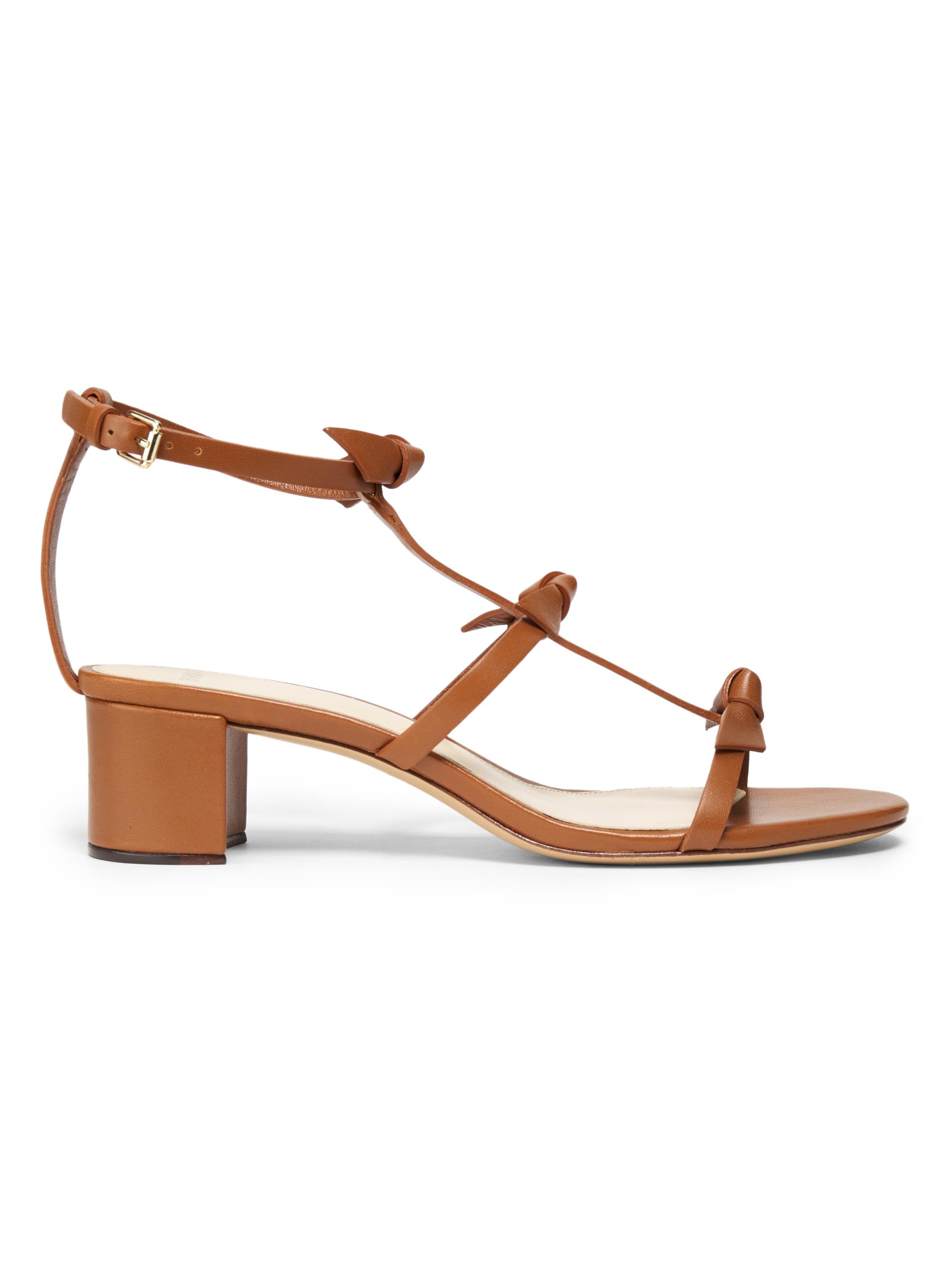 Alexandre Birman Women's Slim Lolita Leather Sandals - Espresso