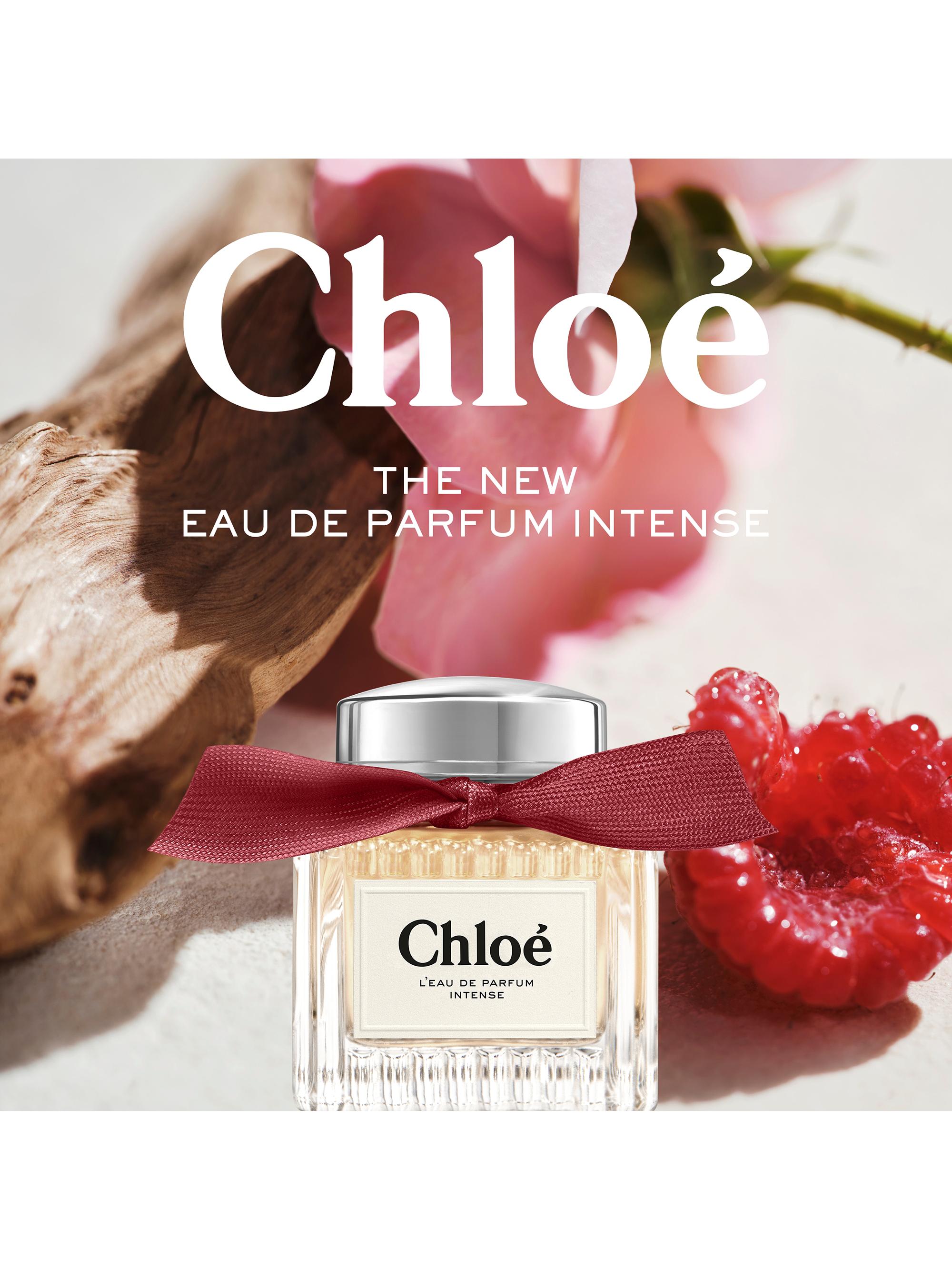Chloé Eau de Parfum Intense 50ml Parfums Chloe Chloe EDP Intense Spray, 1.7 fl oz - Walmart.com