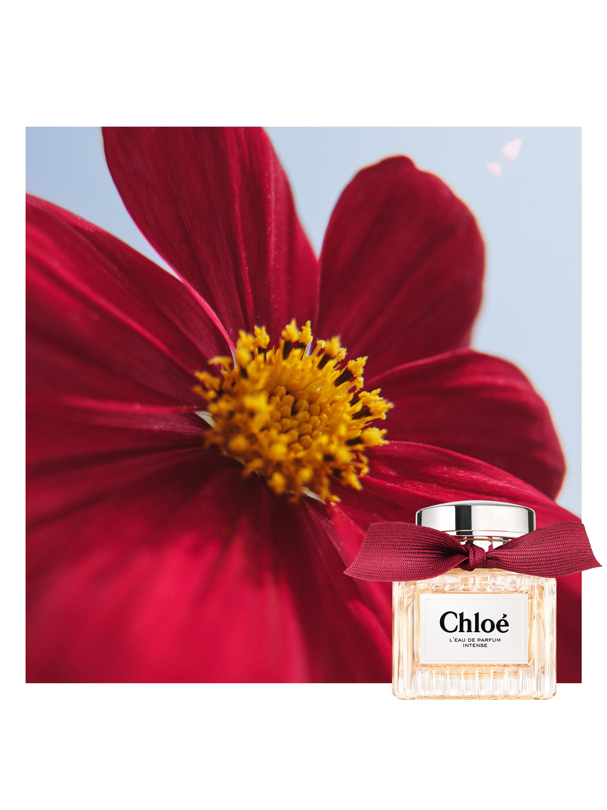 Chloé Chloé L'Eau de Parfum Intense | Saks Fifth Avenue