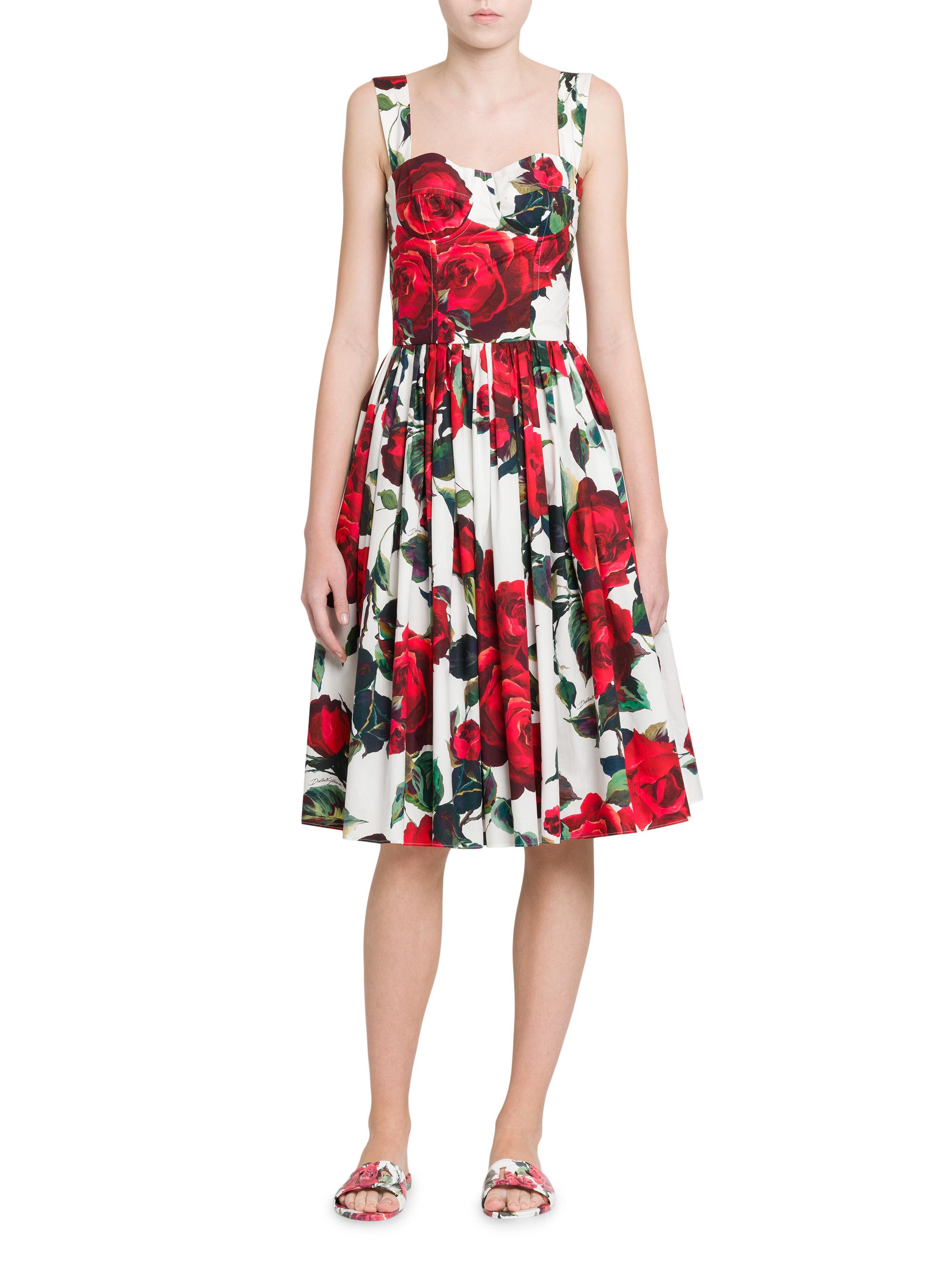 Dolce&Gabbana Roses Cotton Fit & Flare Dress | Saks Fifth Avenue