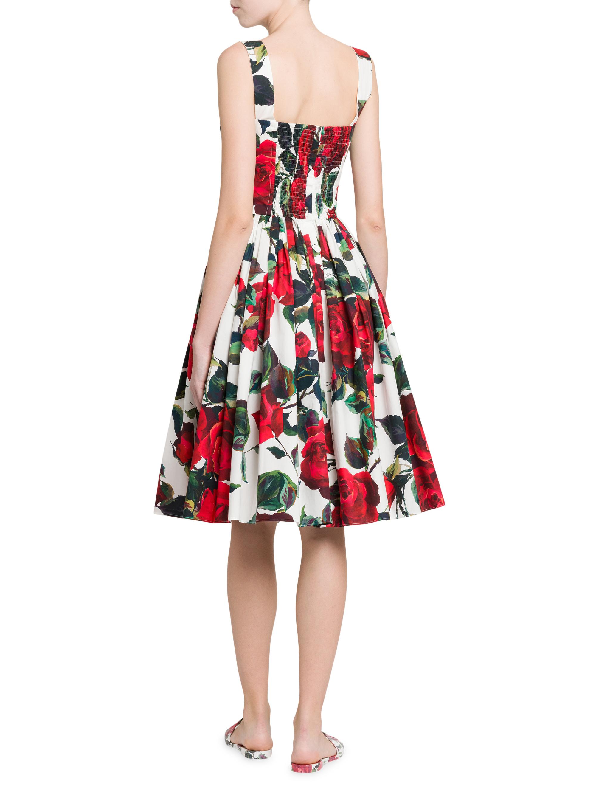 Dolce&Gabbana Roses Cotton Fit & Flare Dress | Saks Fifth Avenue