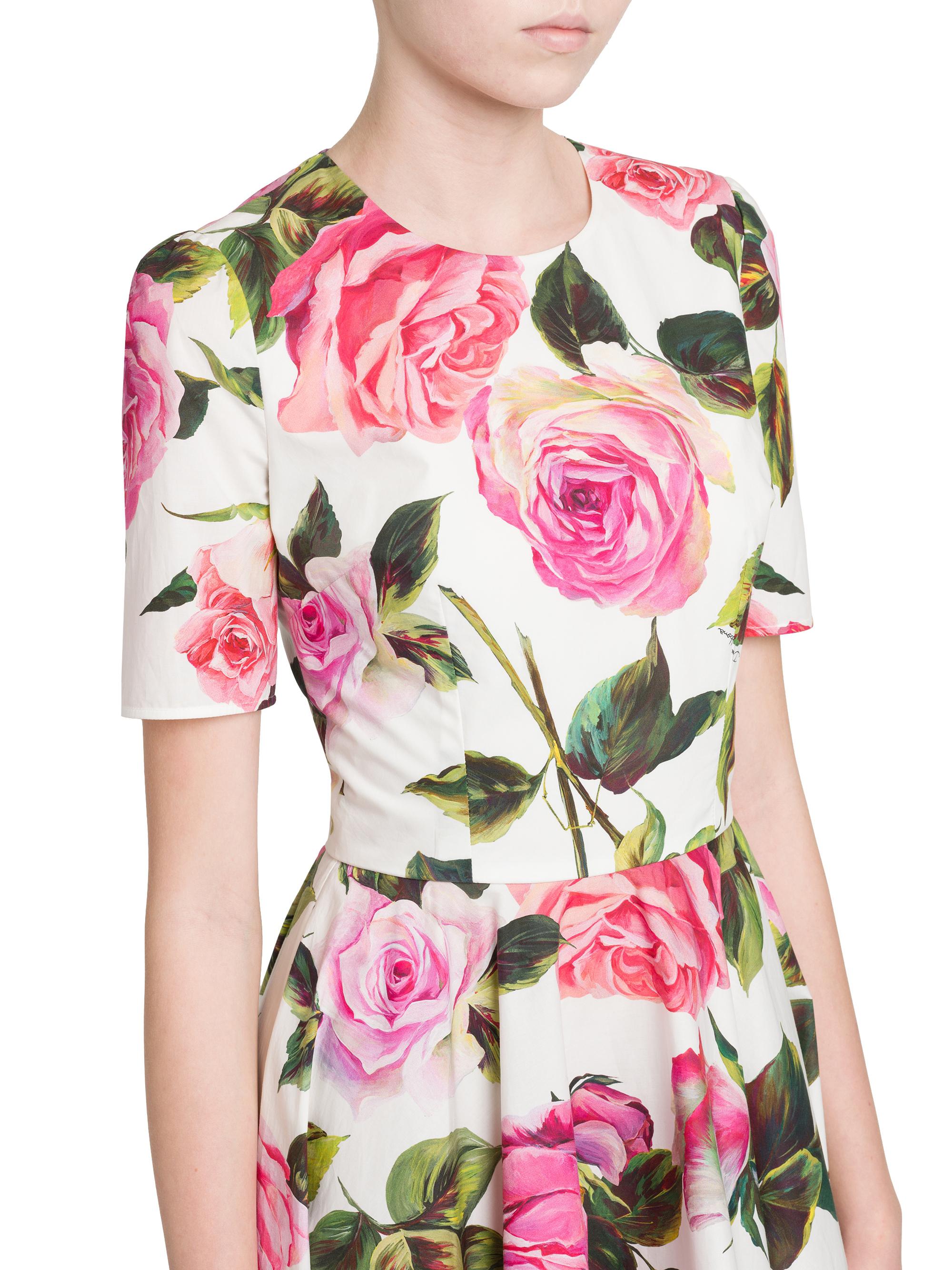 Dolce&Gabbana Pink Roses Cotton Dress | Saks Fifth Avenue