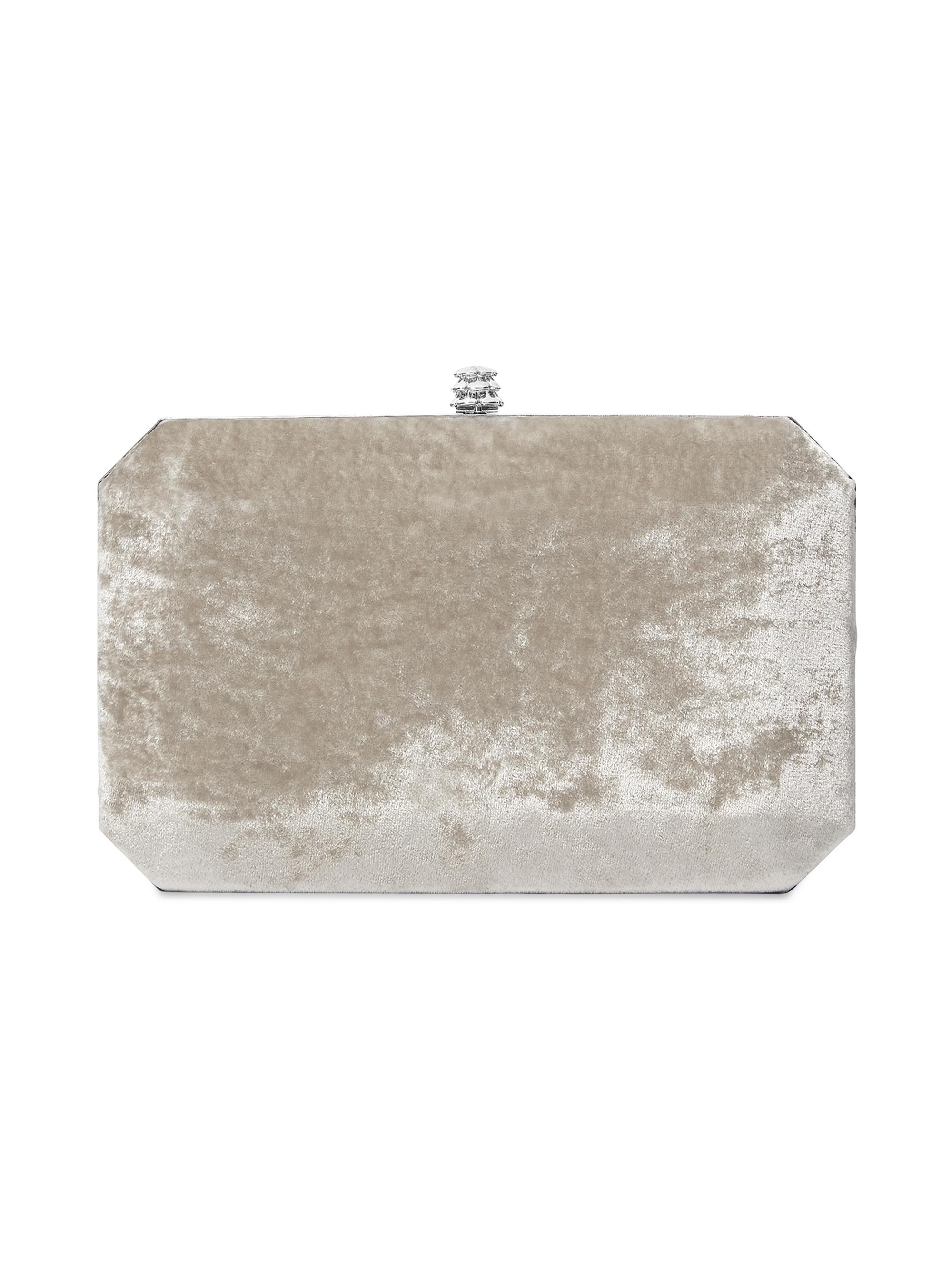 Tyler Ellis Women's Lily Clutch in Crushed Velvet with Silver Hardware - Platinum