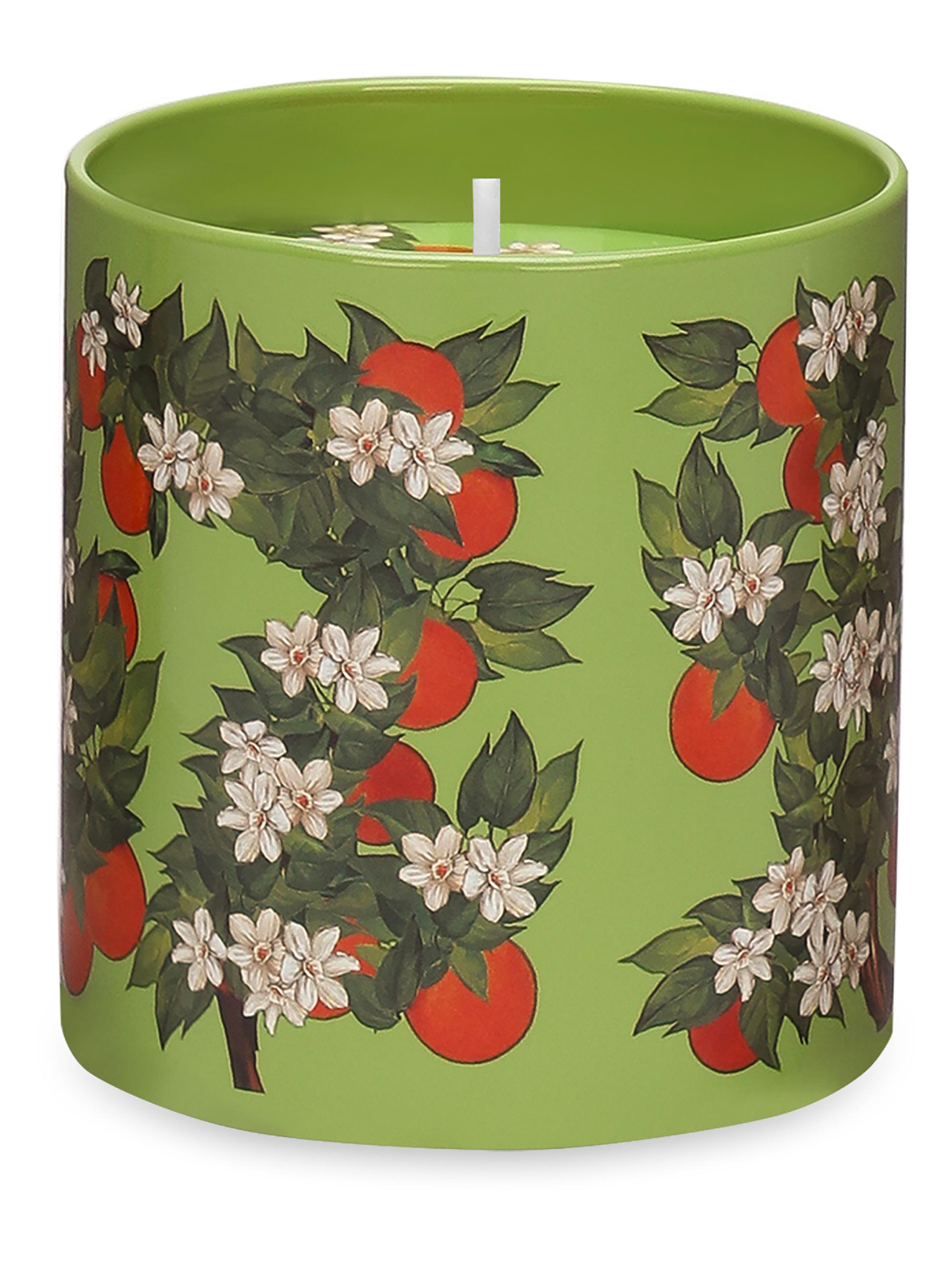 Dolce&Gabbana Wild Jasmine Scented Candle | Saks Fifth Avenue