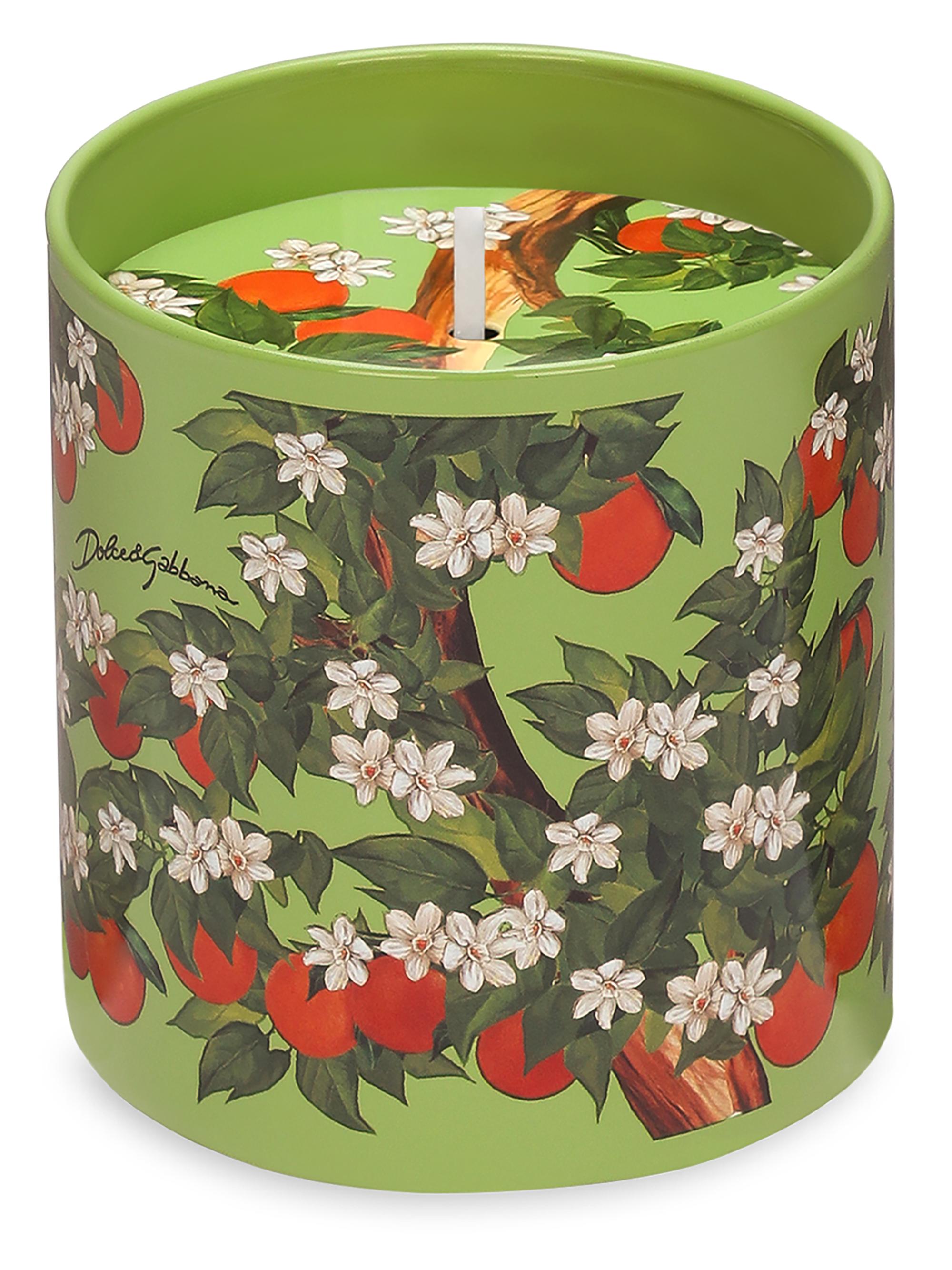 Dolce&Gabbana Wild Jasmine Scented Candle | Saks Fifth Avenue