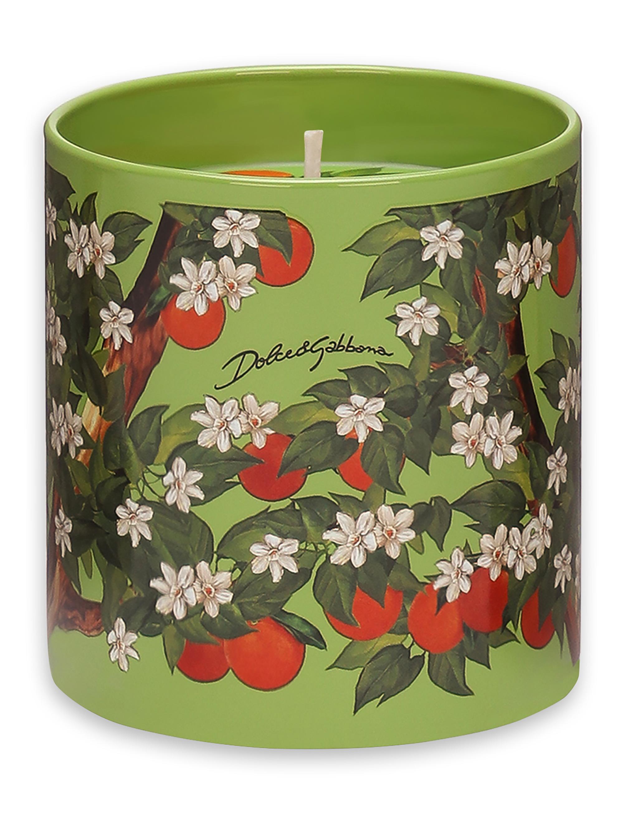 Dolce & Gabbana Wild Jasmine Scented Candle