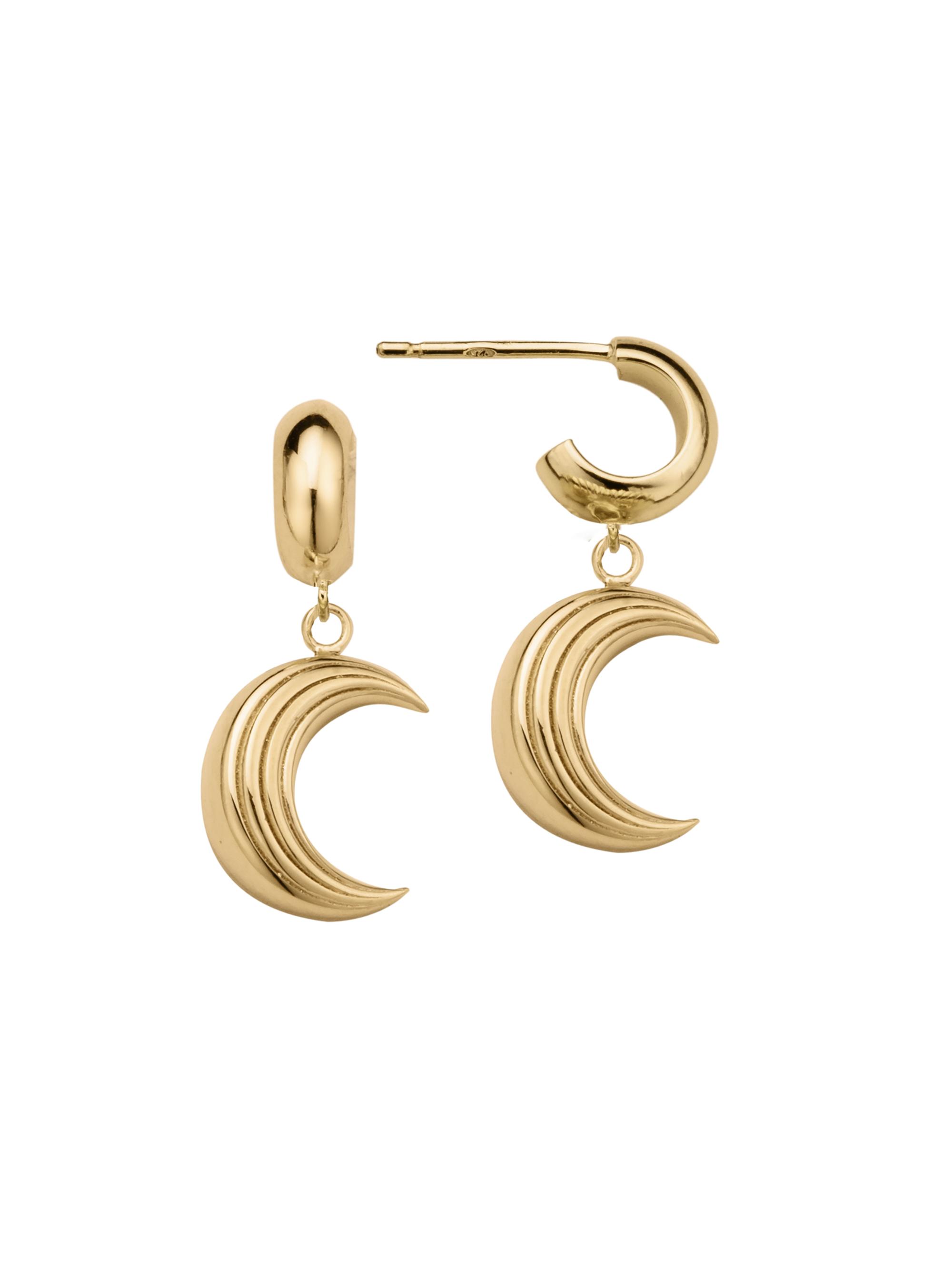 Jennifer Zeuner Jewelry Women's Apollo 18K-Gold-Plated Crescent Moon Drop Earrings - Yellow Gold Plated Silver