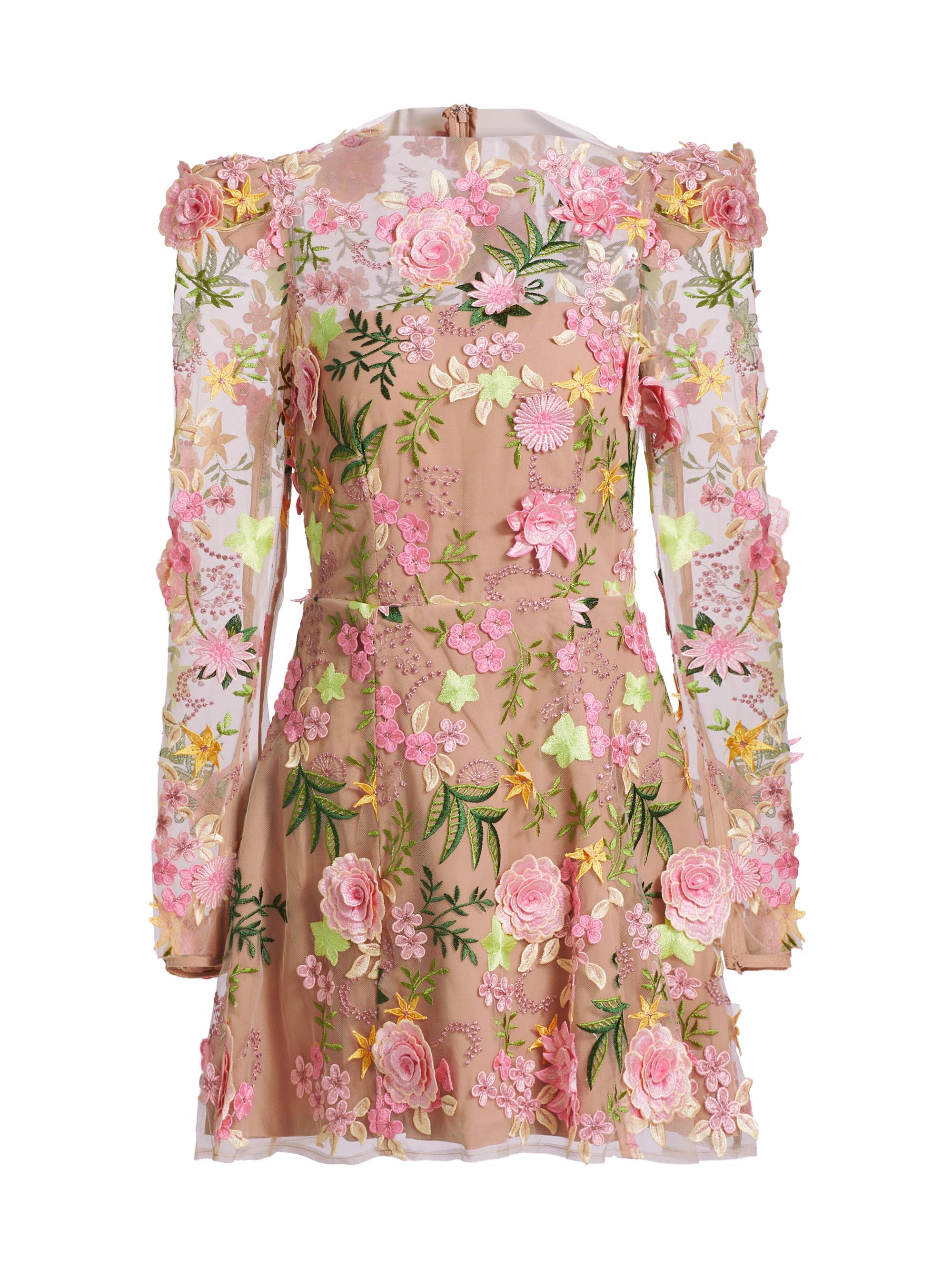 knee length dresses for ladies Rose Garden Floral Applique Mini Dress Oyster main image 0