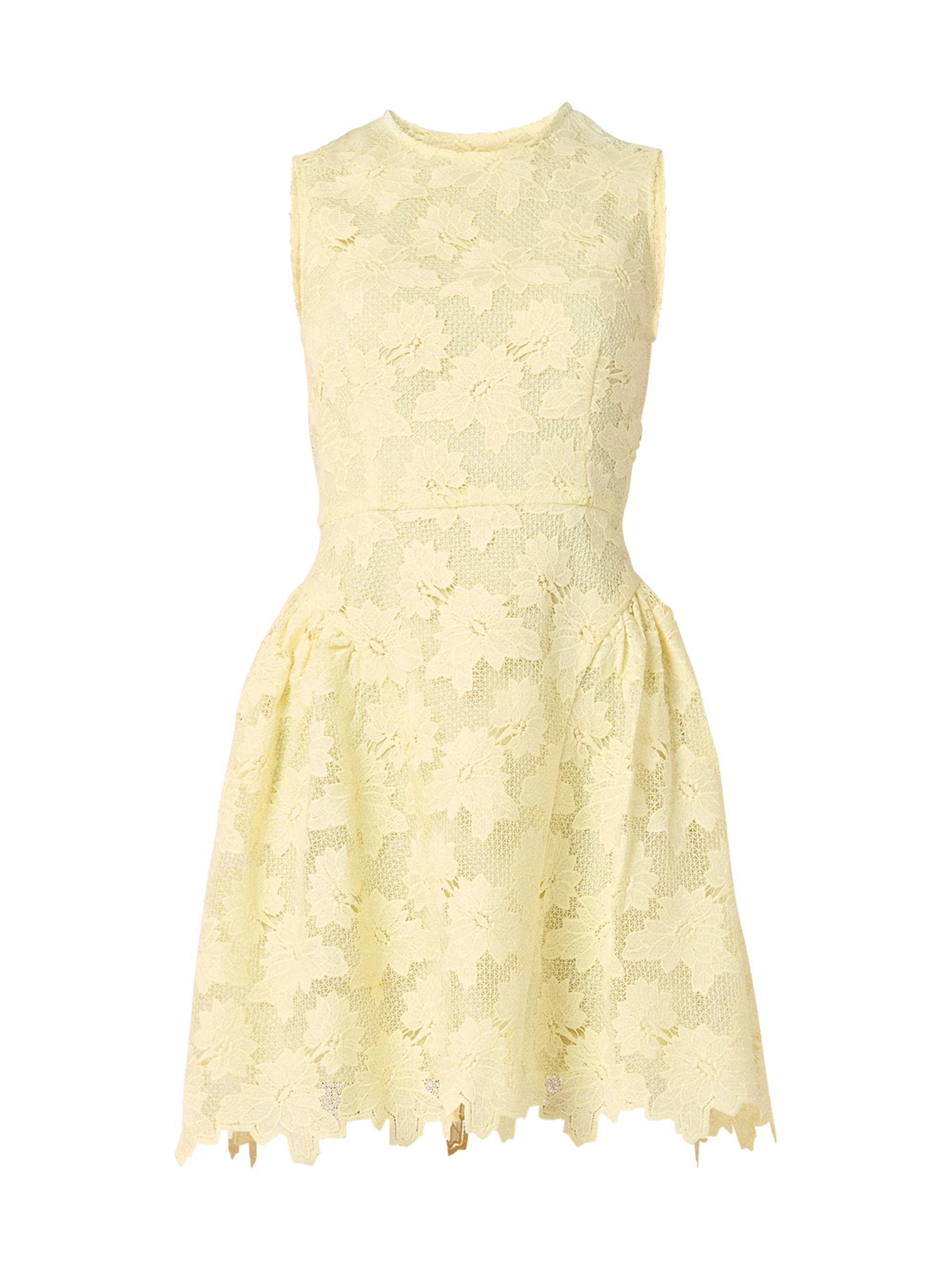 Shoshanna Women's Fleur Lace Sleeveless Minidress - Sunburst