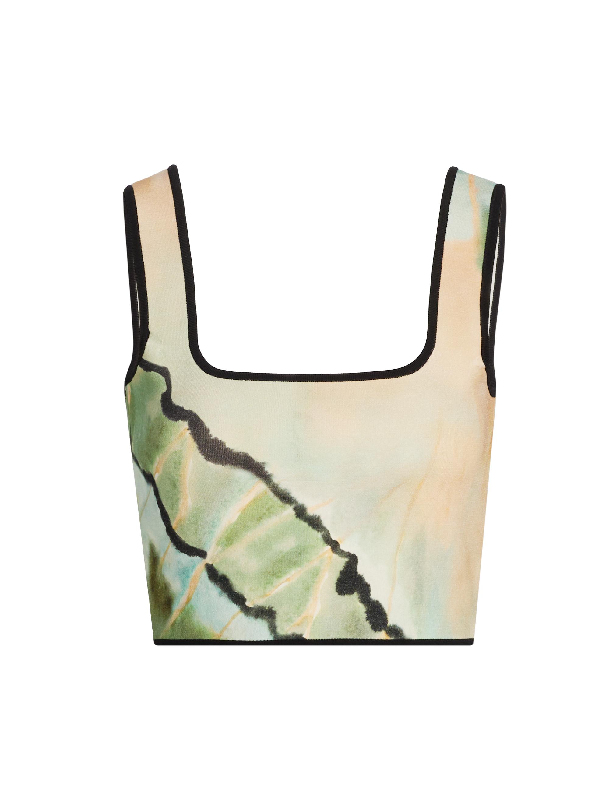 Amur Women's Kenda Butterfly Print Knit Top - Butterfly Wing