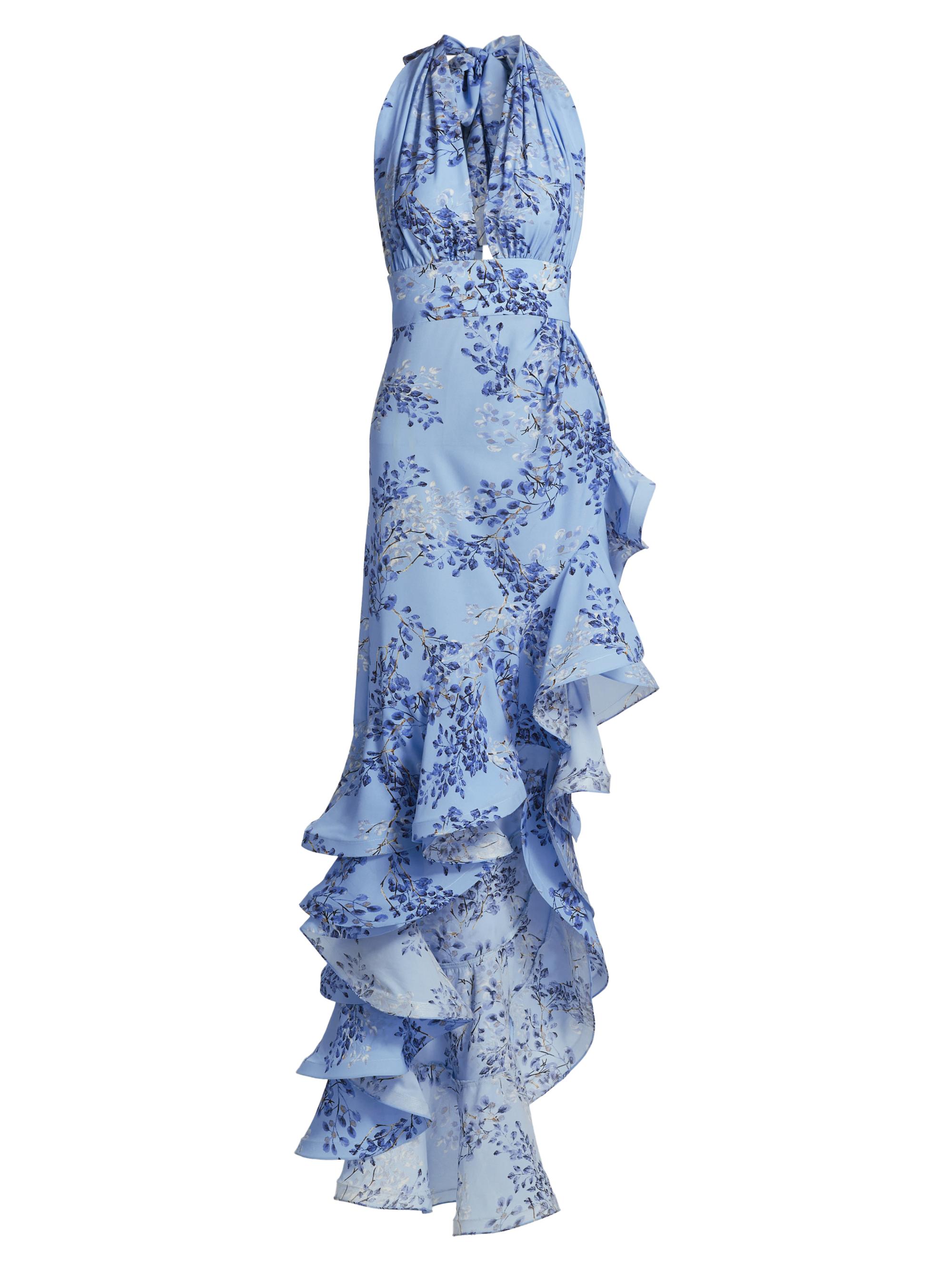 Bronx and Banco Women's Bronte Poppy Maxi Dress - Blue Multi