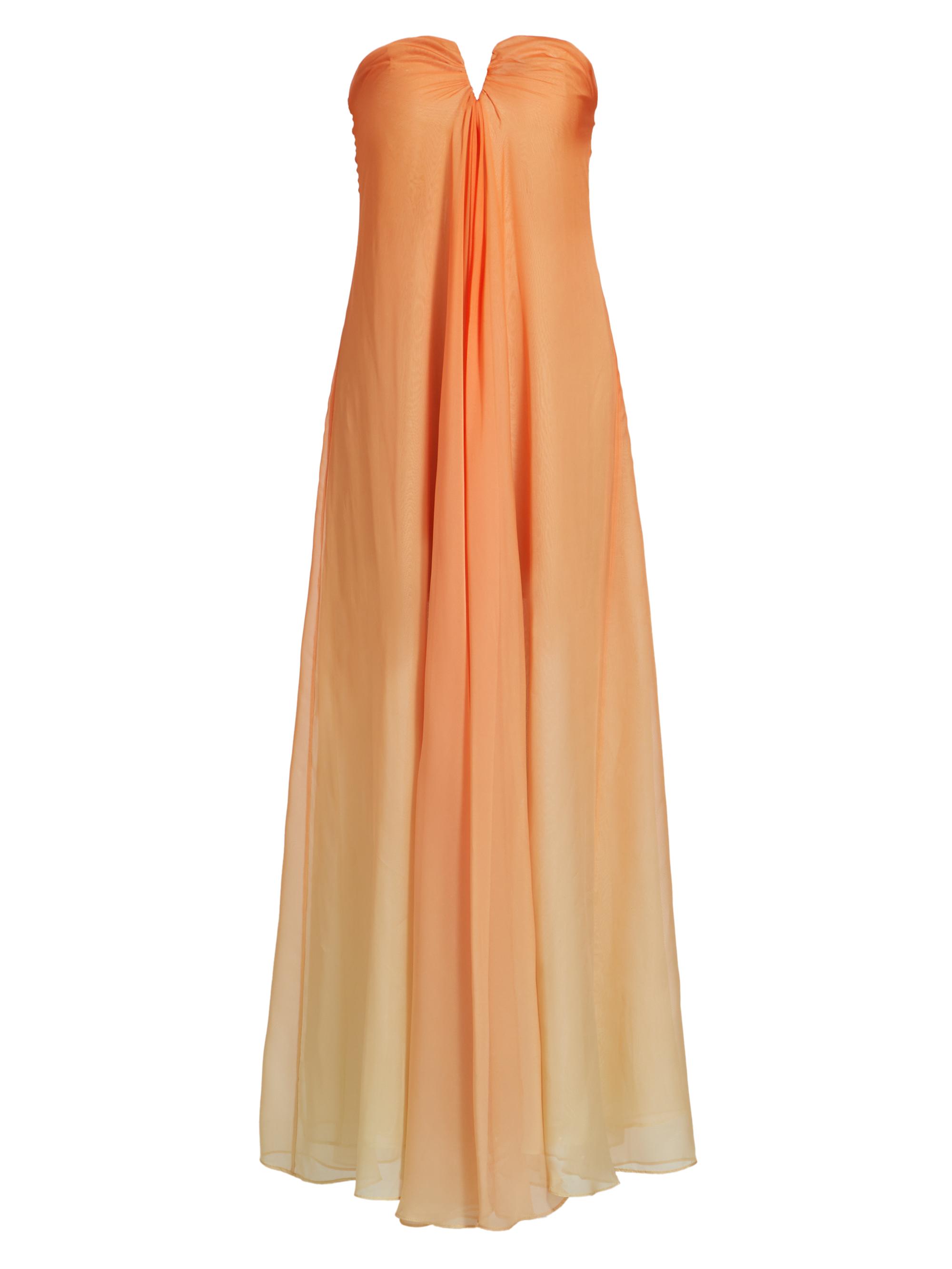 Cult Gaia Women's Janelle Ombré Strapless Gown - Ombre