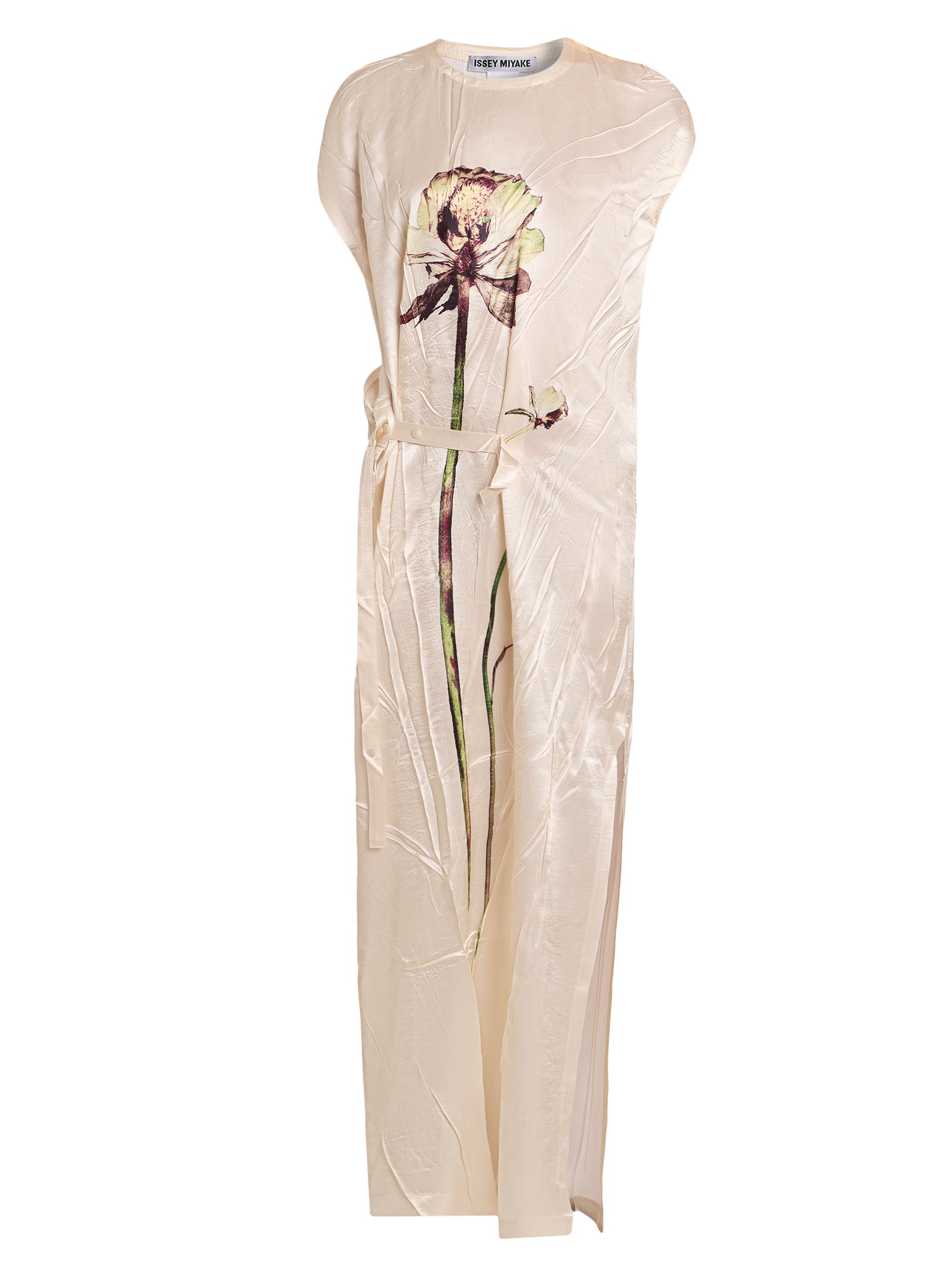 0400022410330_RANUNCULUS?wid=