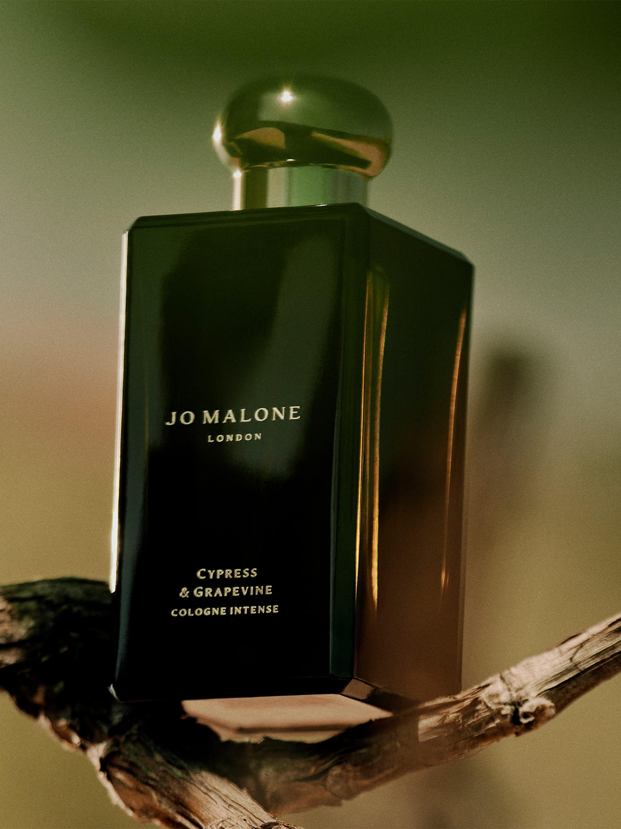 JO MALONE Cypress & Grapevine 50ml サンプル付 JO MALONE Cypress & Grapevine 50ml サンプル付 Cypress