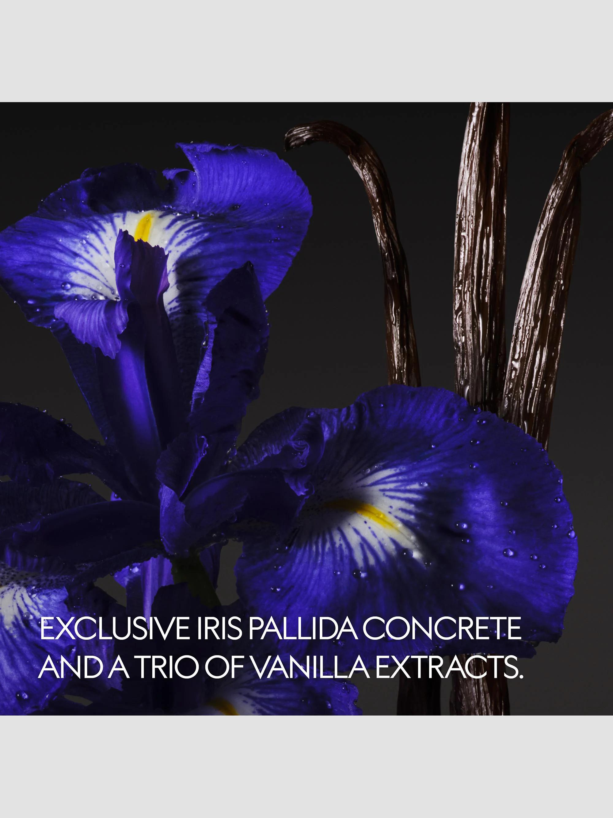 Gucci The Alchemist's Garden Vanilla Firenze Eau de Parfum | Saks