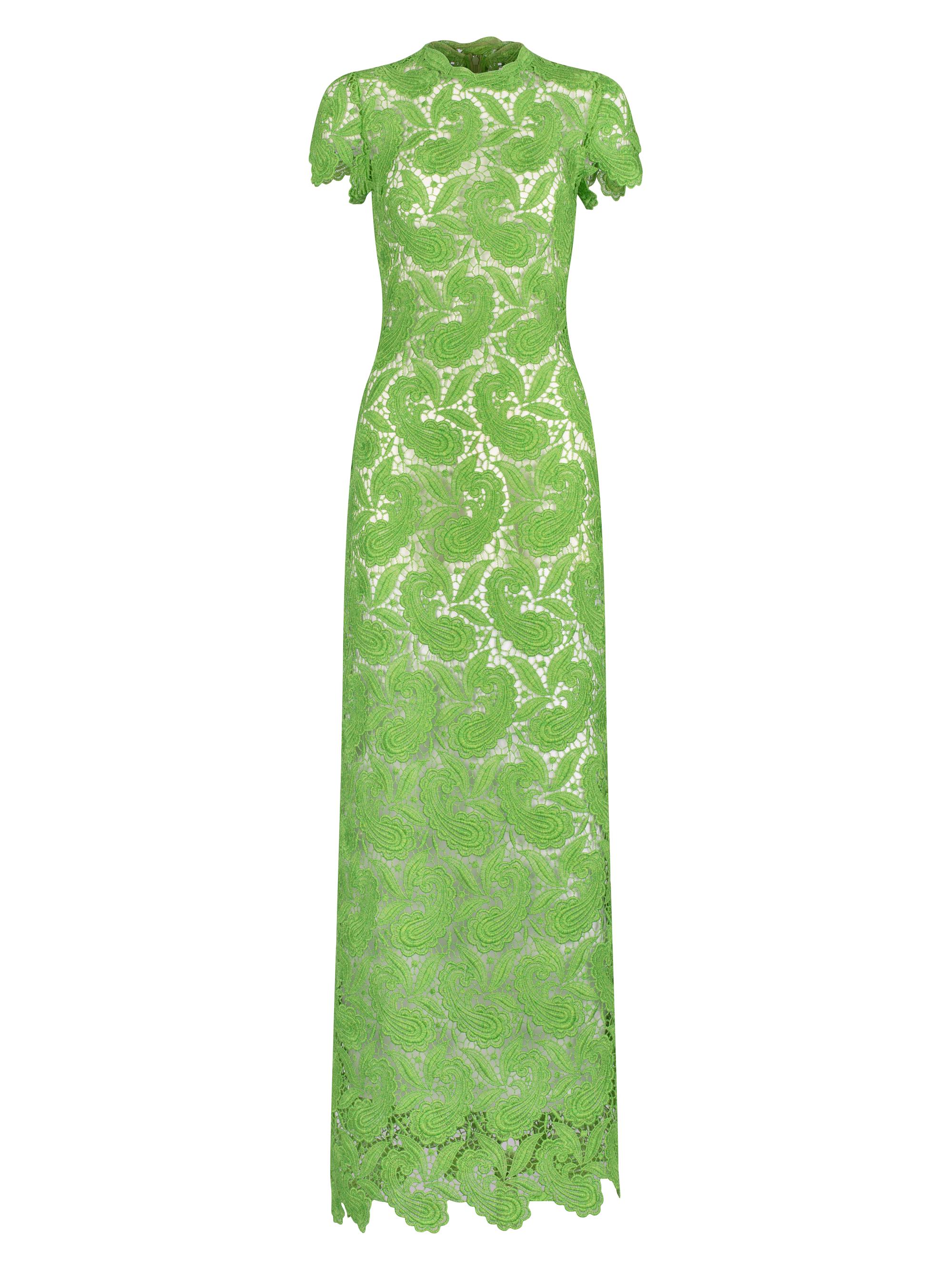 Silvia Tcherassi Women's Roxanna Lace Column Gown - Green Guipure