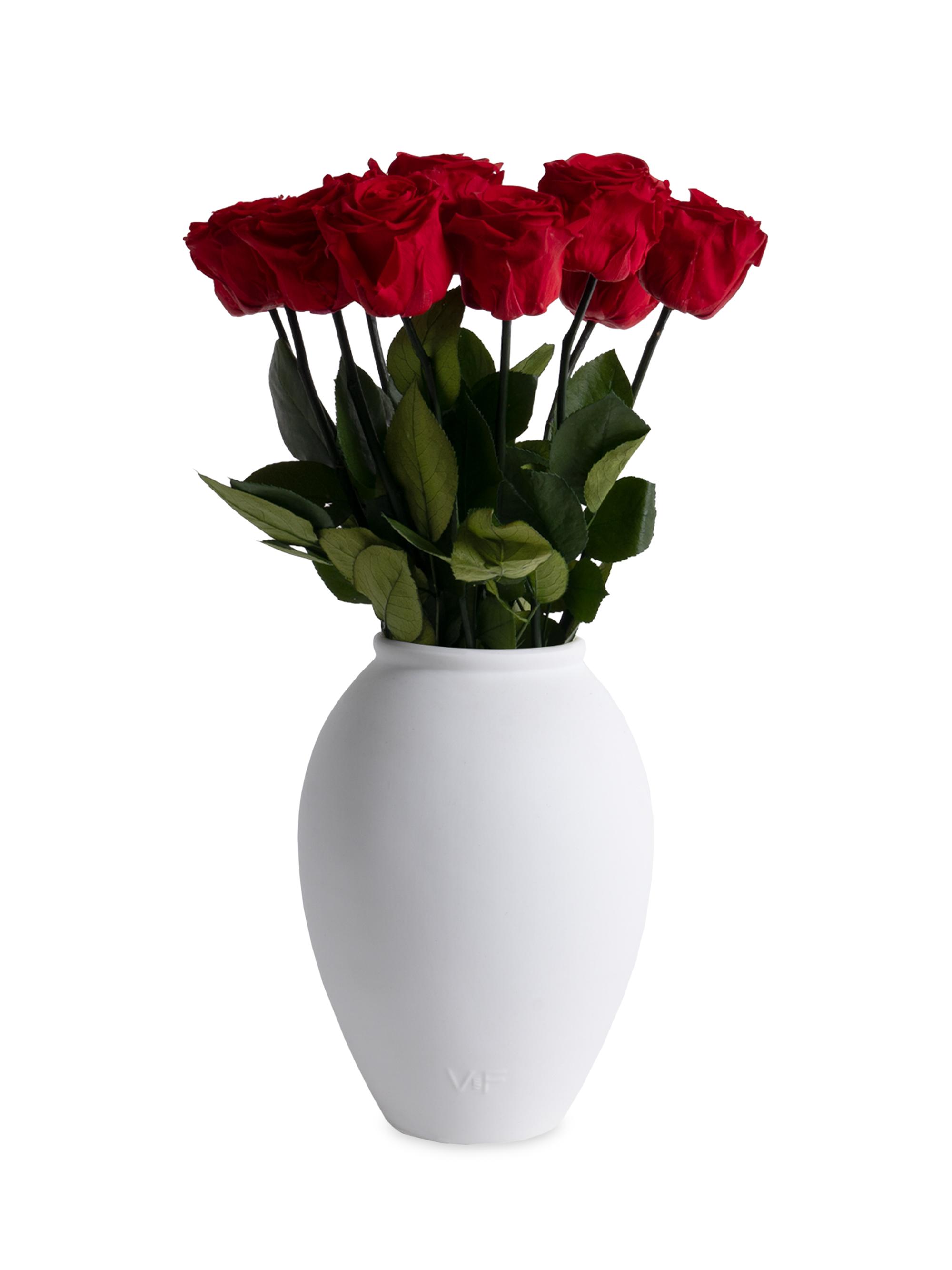 Venus et Fleur Valentine's Day Amphora Porcelain Vase With 12 Long-Stemmed Roses - Red