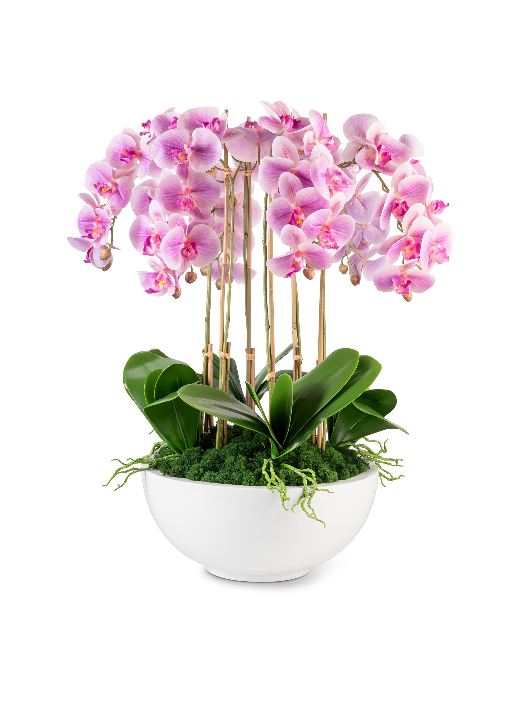 CocoBella Jetta Oversized Real Touch Orchid Arrangement - Fuschia