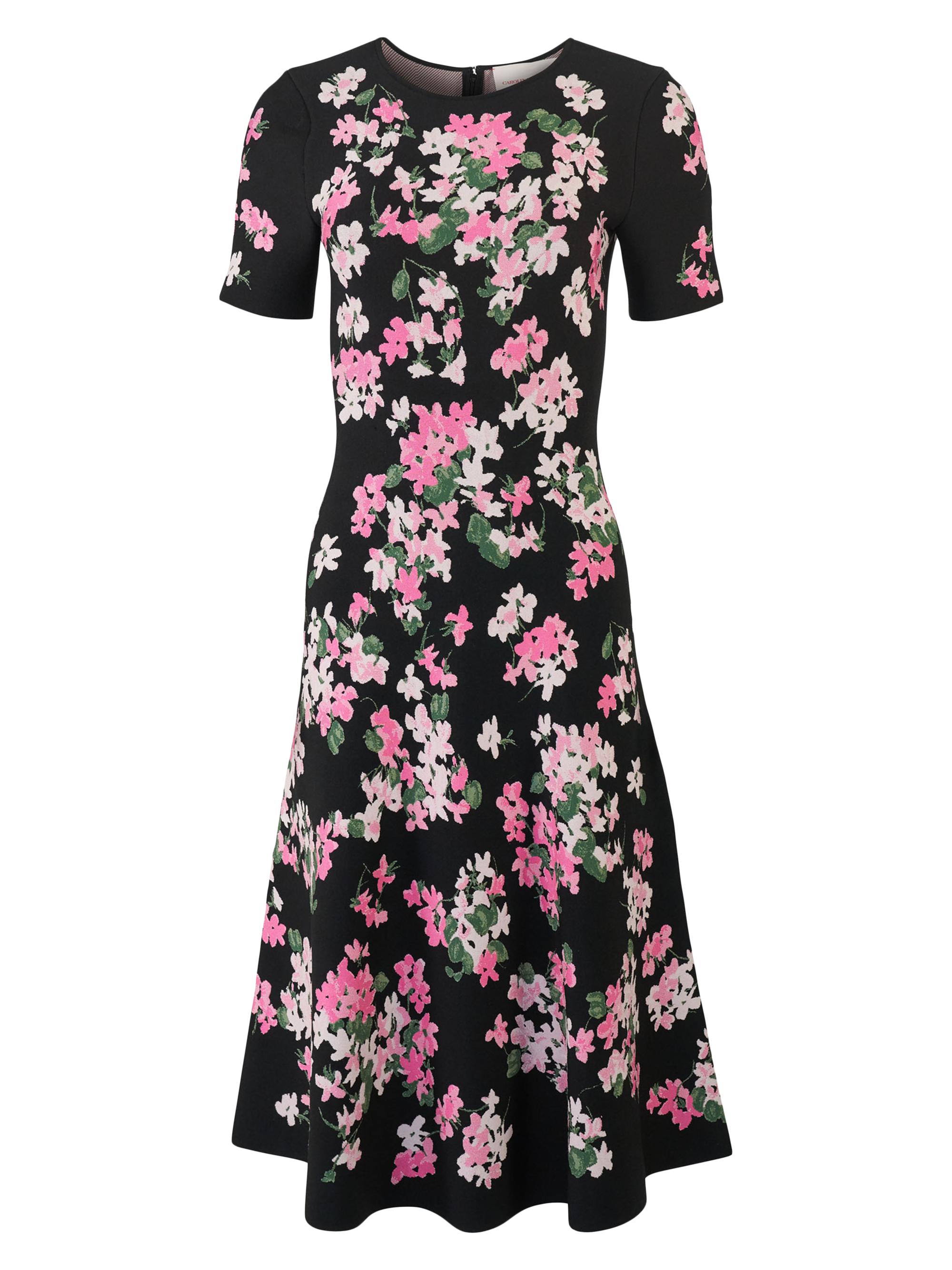 Carolina Herrera Women's Floral Fit & Flare Dress - Black Multi