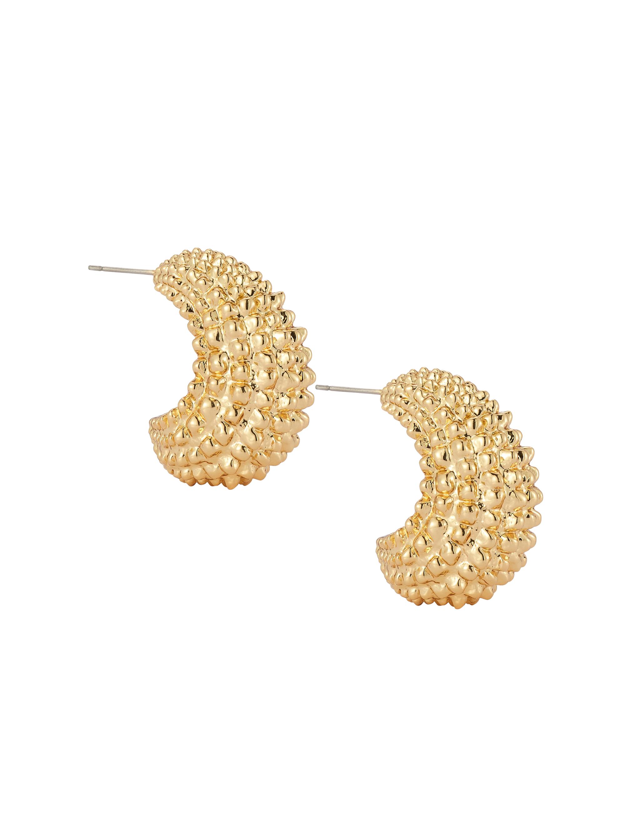 Mignonne Gavigan Women's Elisa 14K-Gold-Plated Hoop Earrings - Gold