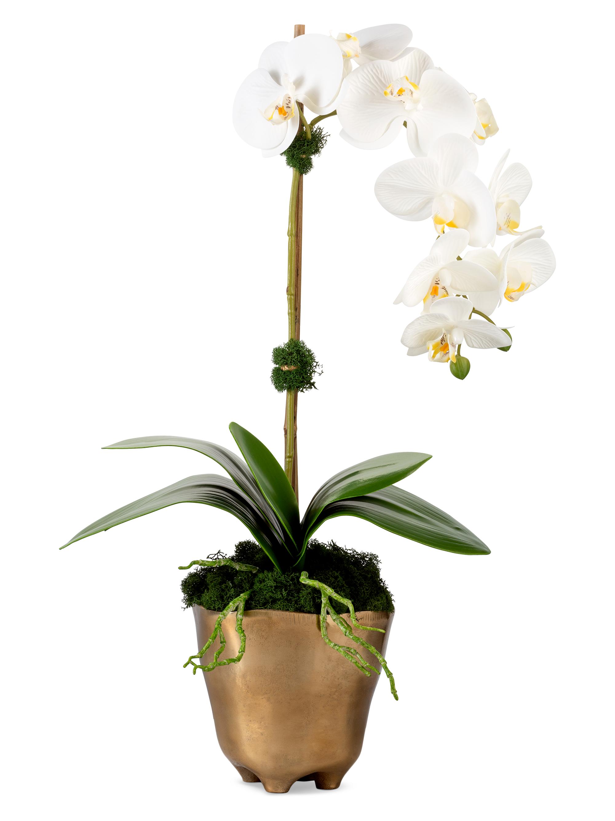 CocoBella Axel RealTouch Orchid Arrangement - Periwinkle