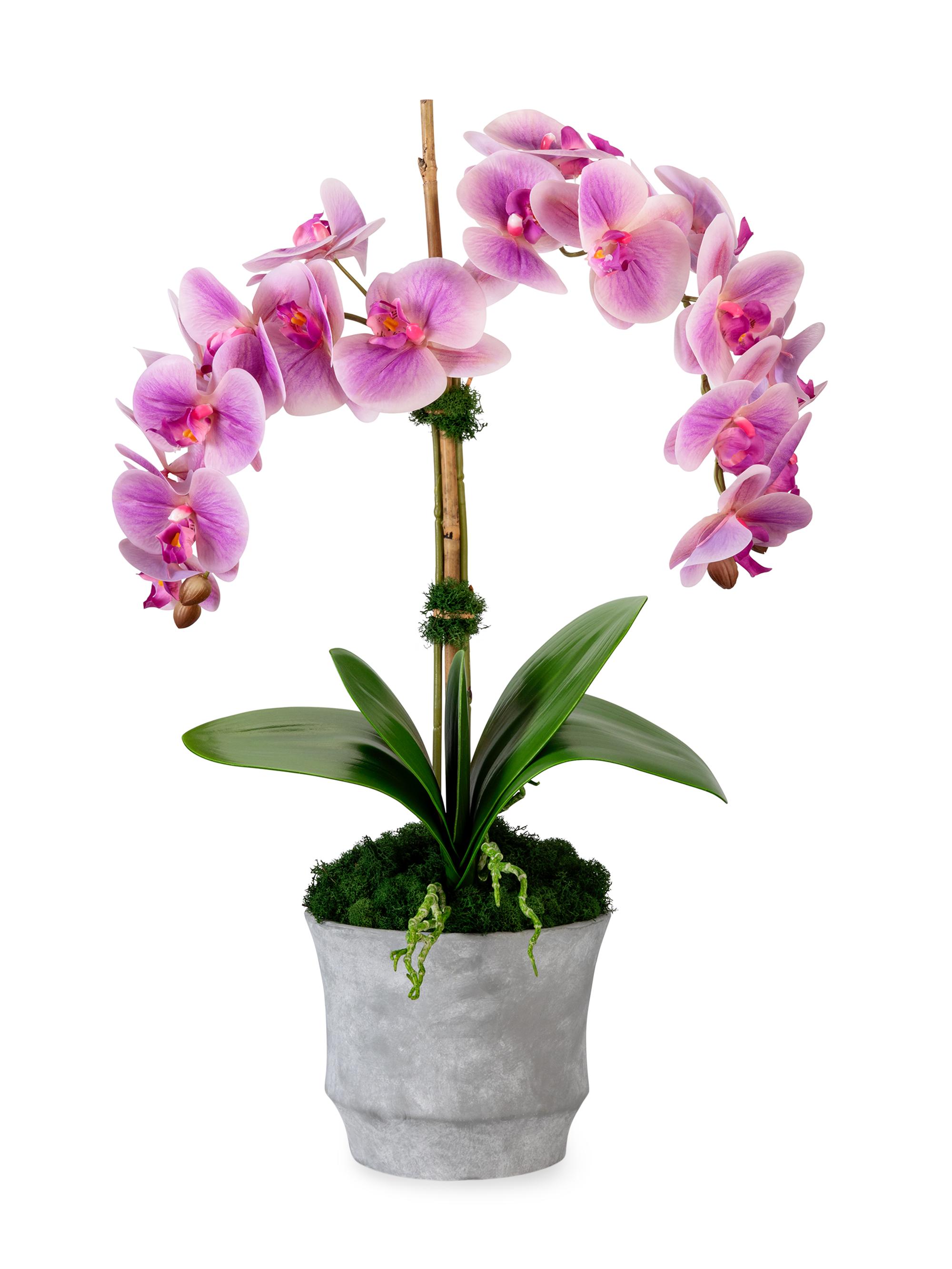 CocoBella Rosalyn RealTouch Orchid - Periwinkle