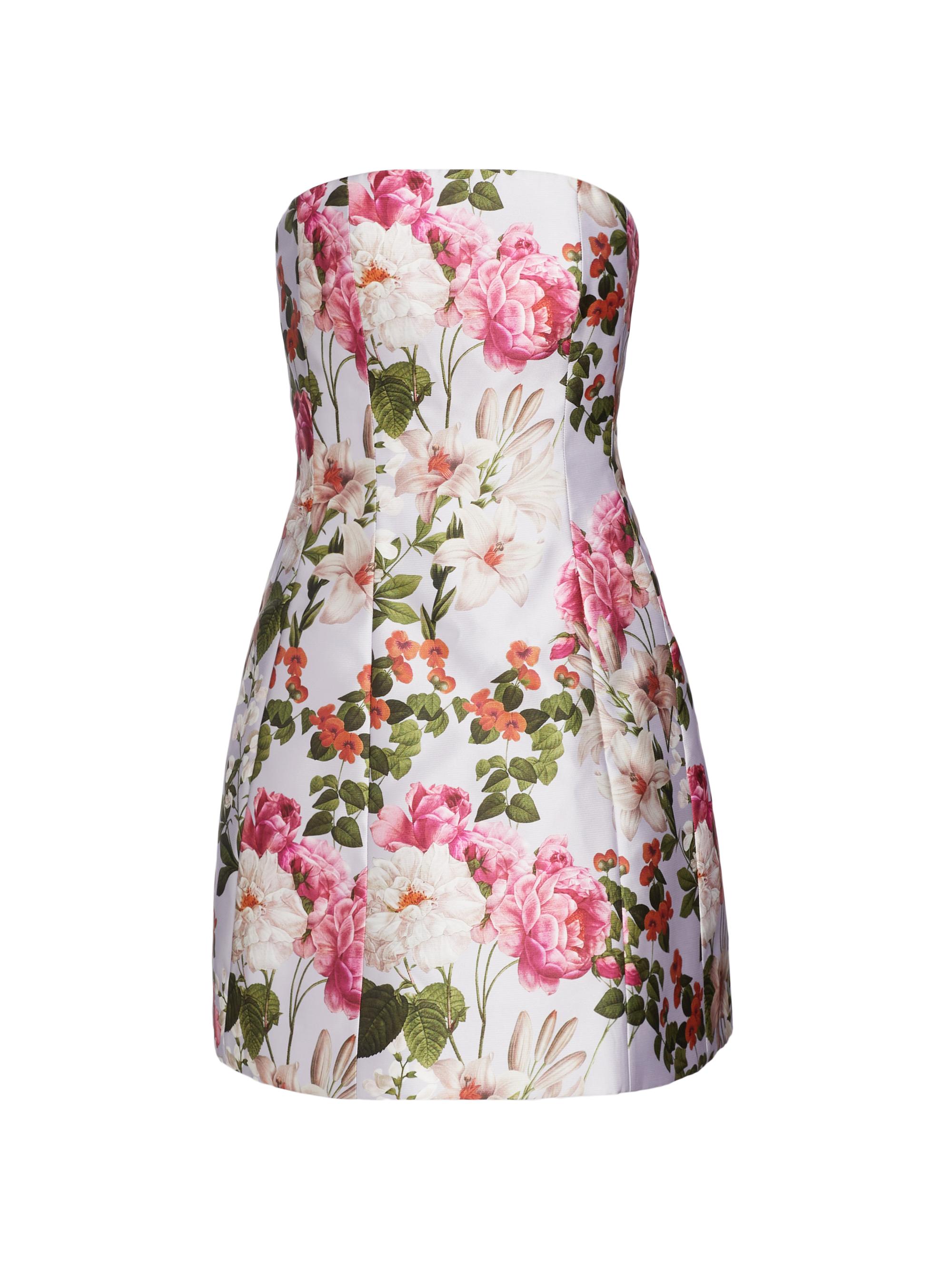 Sachin & Babi Women's Alanna Floral Minidress - Perwinkle And Petals