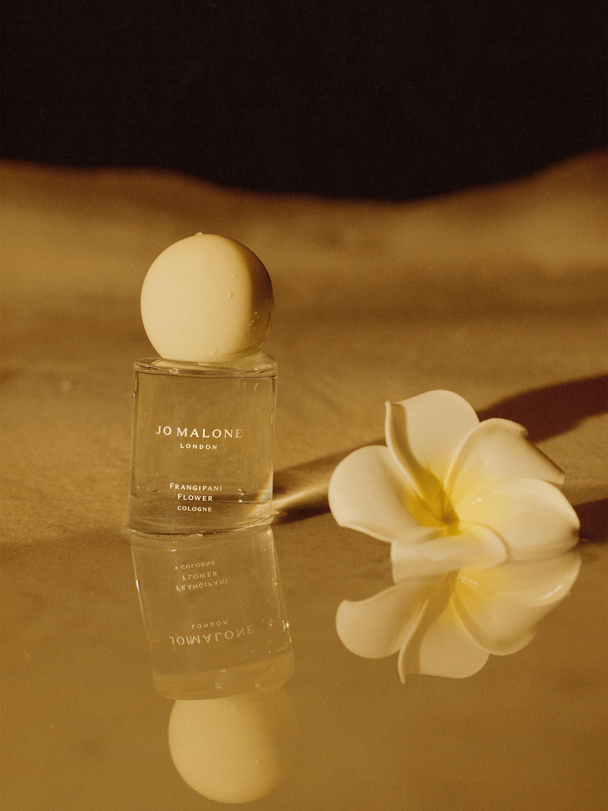 限定 Jo Malone Frangipani Flower 100ml Frangipani Flower Cologne - Jo Malone London | Sephora