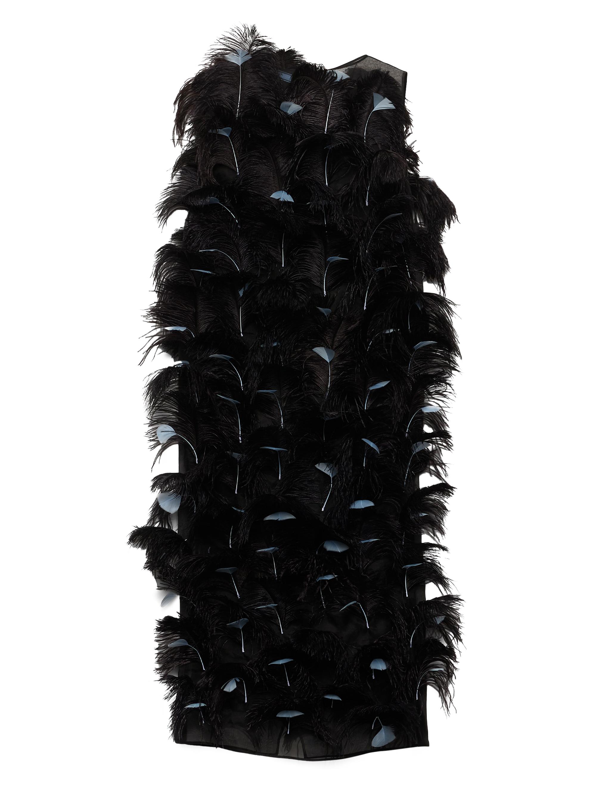 Prada Women's Feather-Embellished Silk Organza Dress - Black