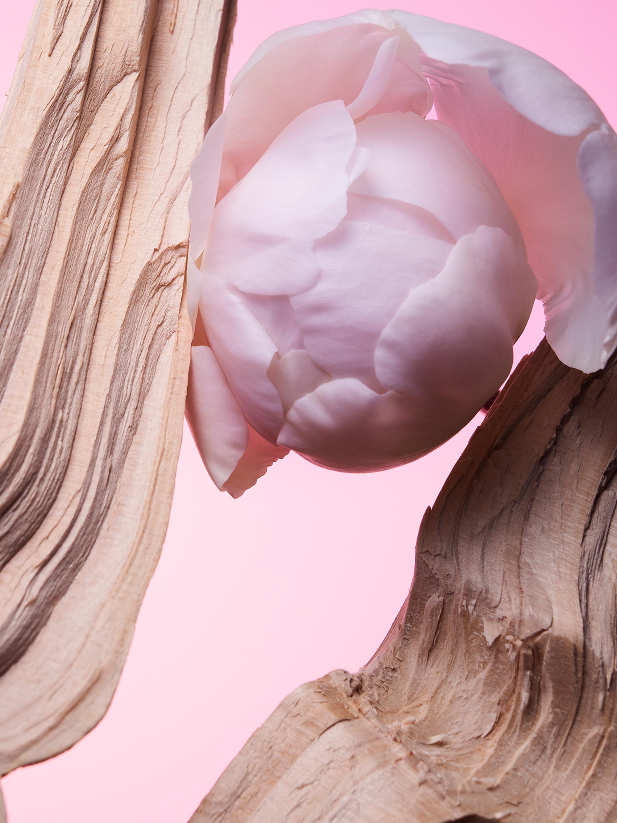 BVLGARI Allegra Insieme Eau de Parfum | Saks Fifth Avenue