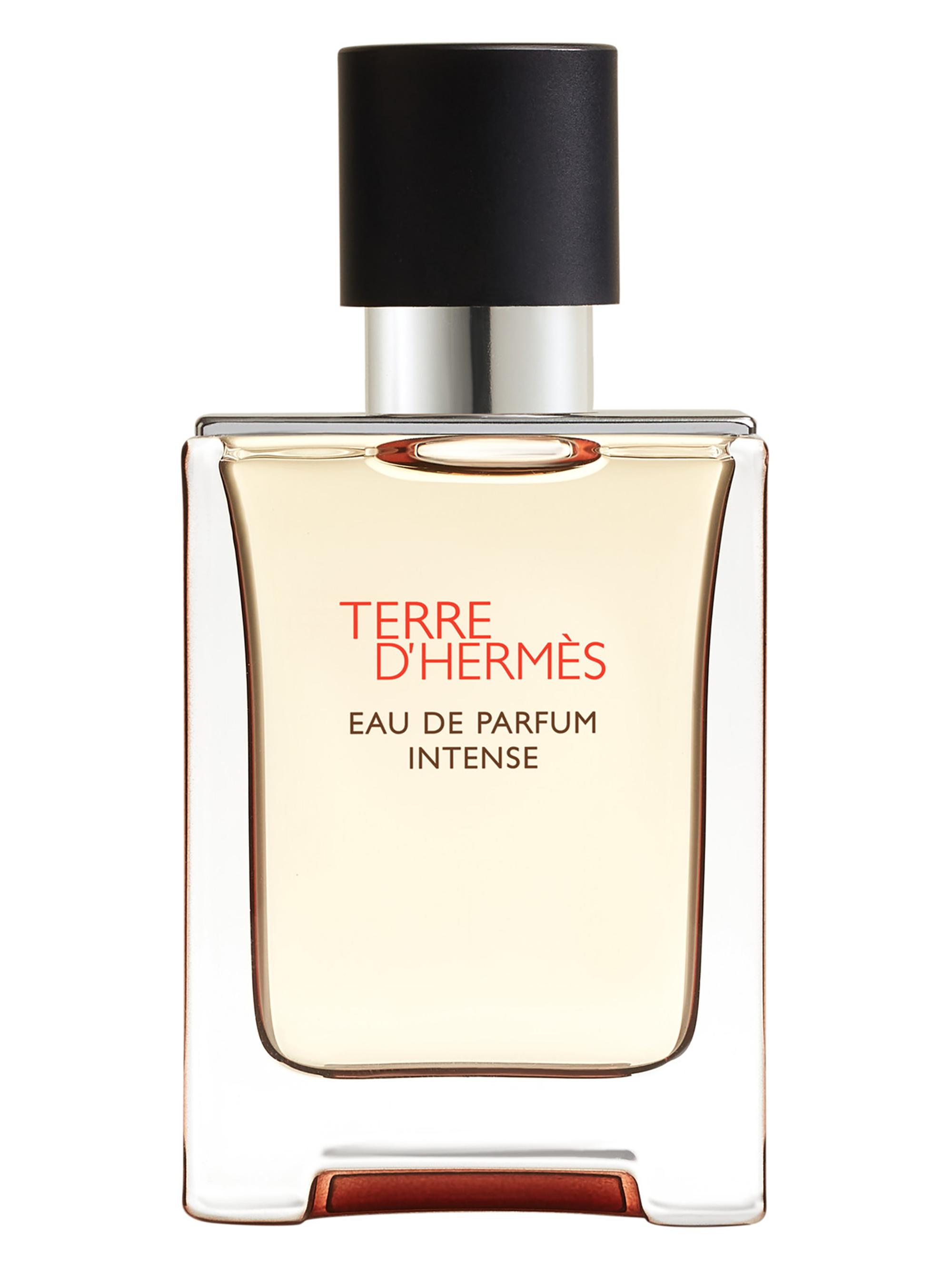 HERMÈS Terre D'hermès Parfum | Saks Fifth Avenue