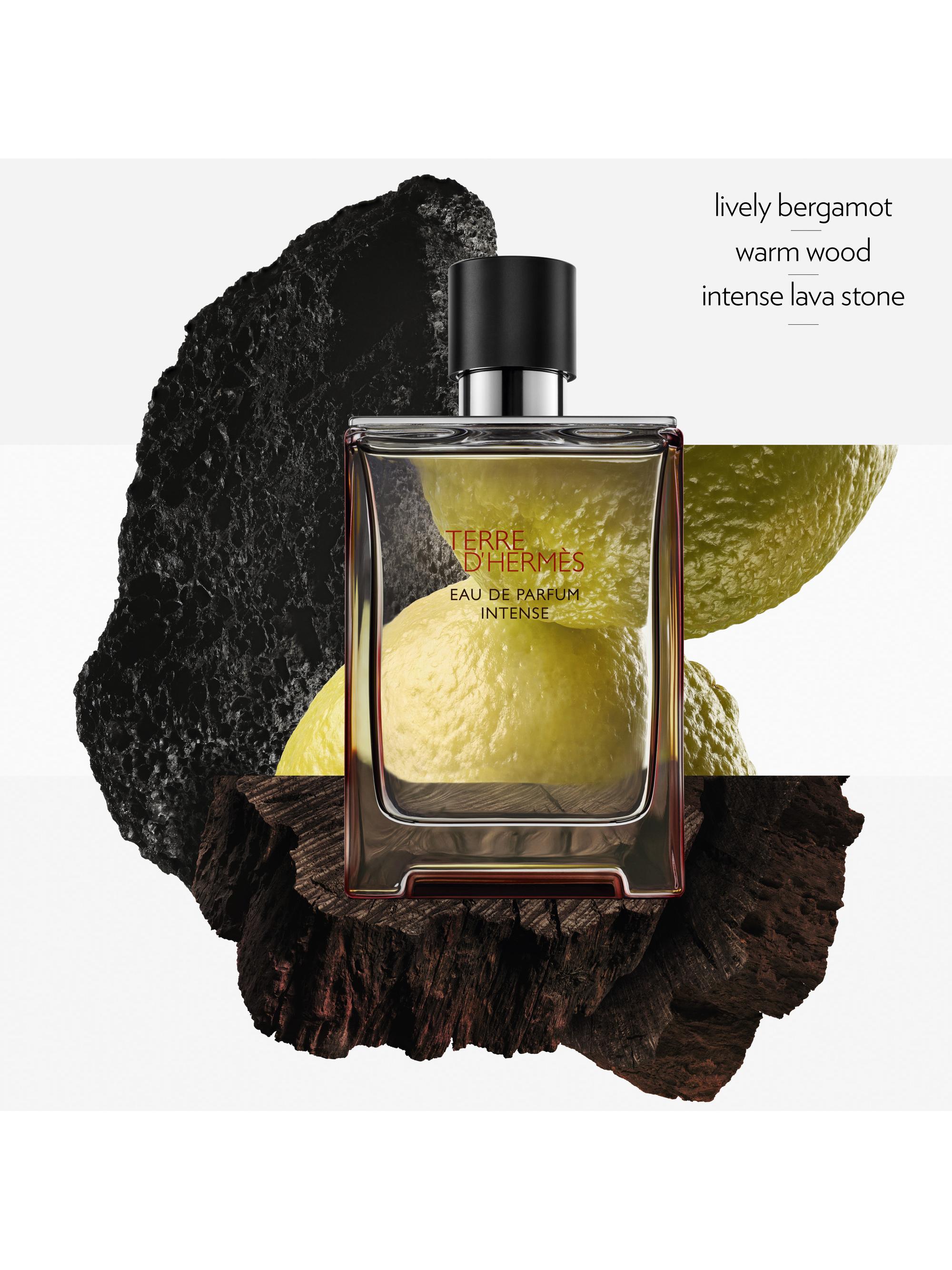 Terre d'Hermès Eau de Parfum Intense