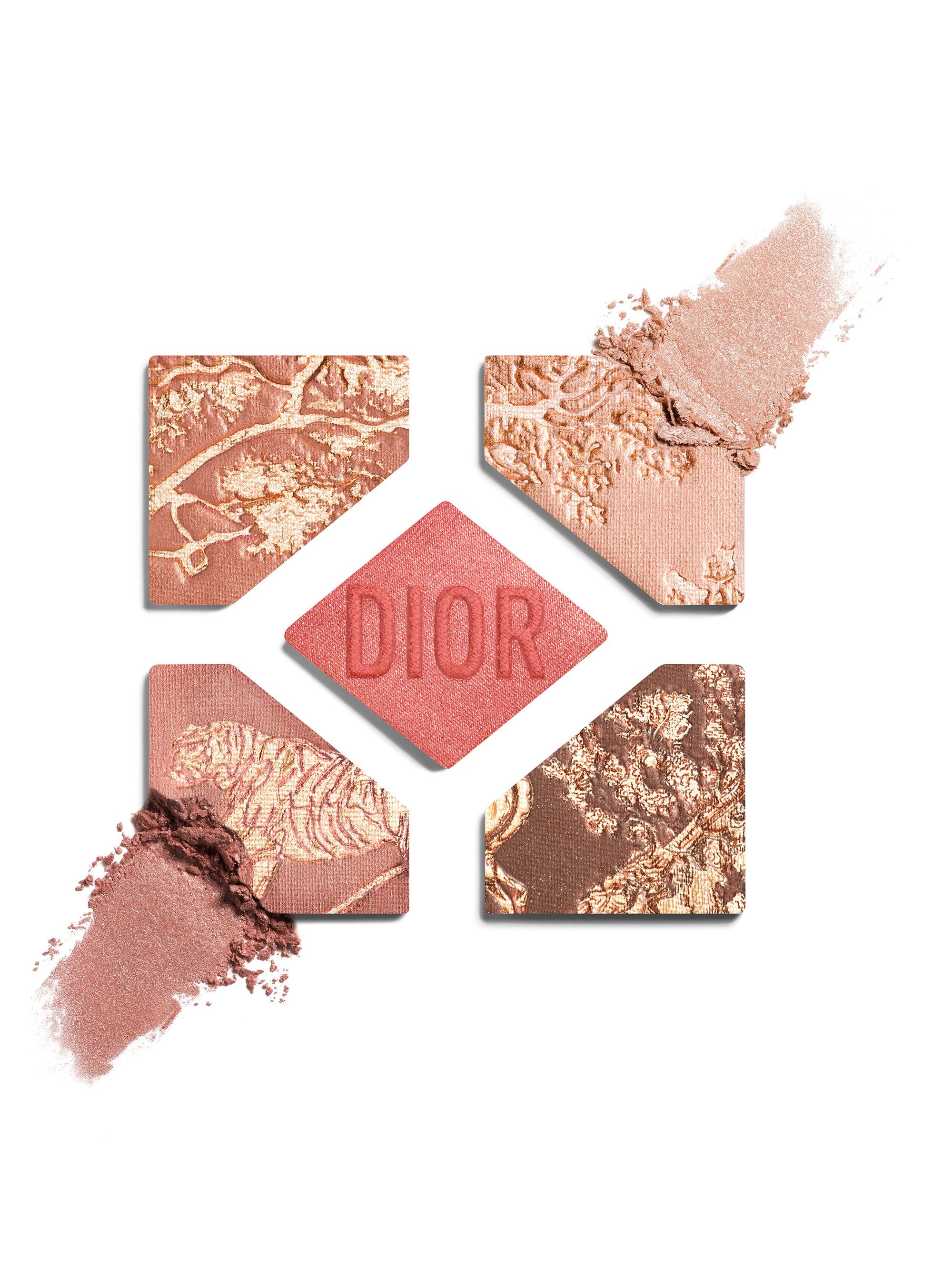 DIOR Diorshow 5 Color Eyeshadow Palette | Saks Fifth Avenue