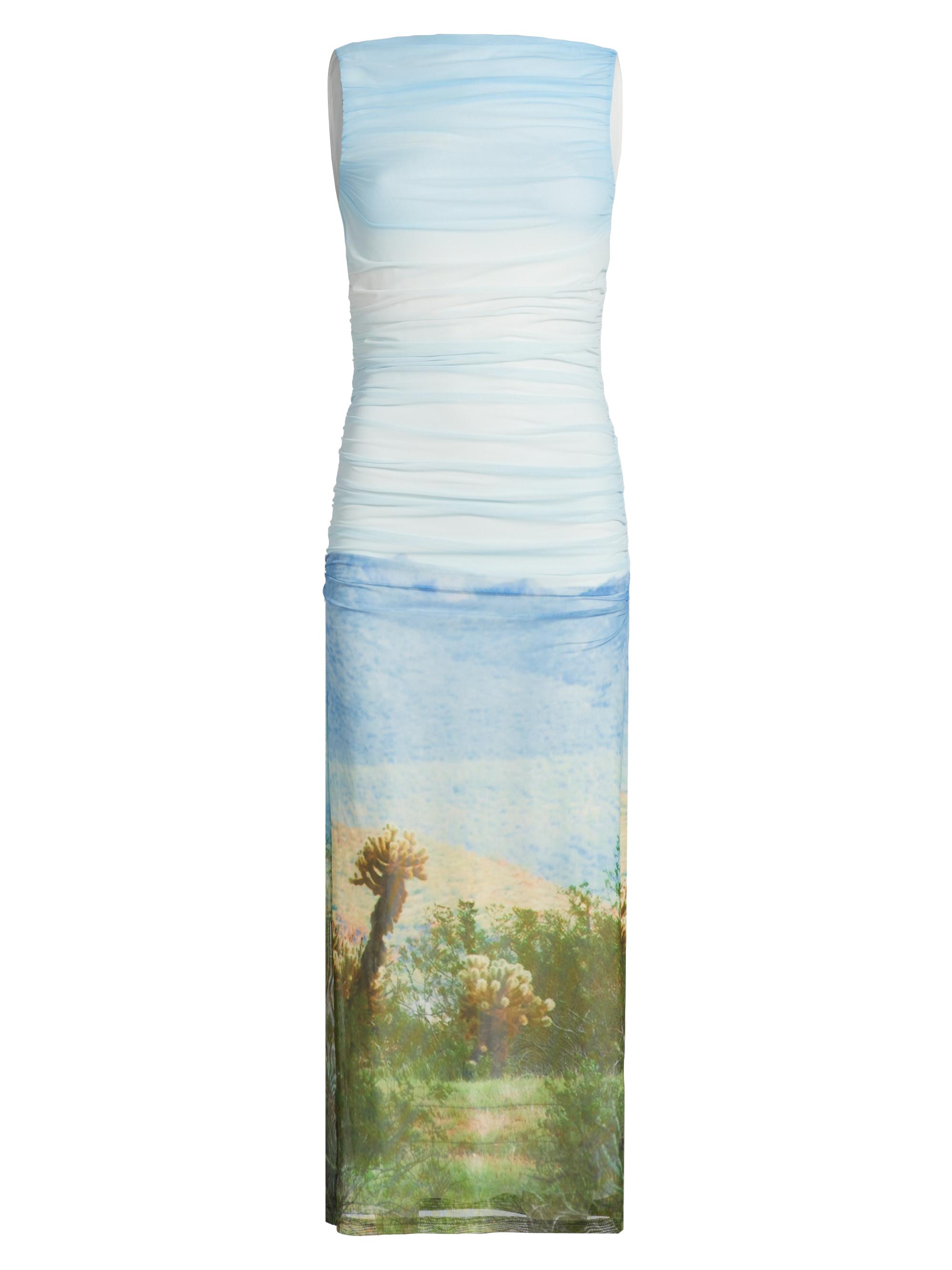 Significant Other Women's Saria Printed Ruched Midi-Dress - Arizona Print