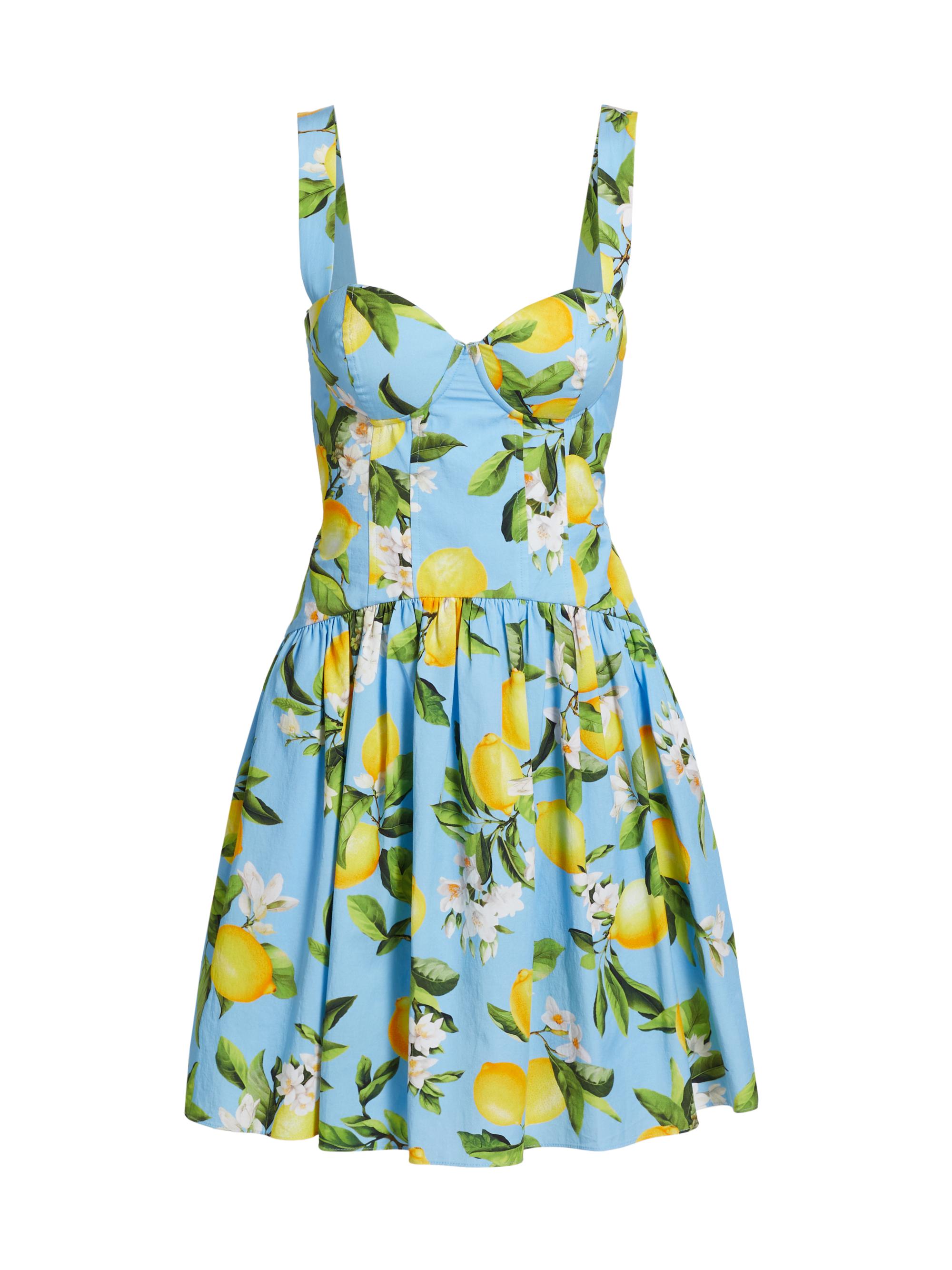 L'AGENCE Women's Jai Floral Cotton-Blend Minidress - Sky Blue Yellow Floral Lemon