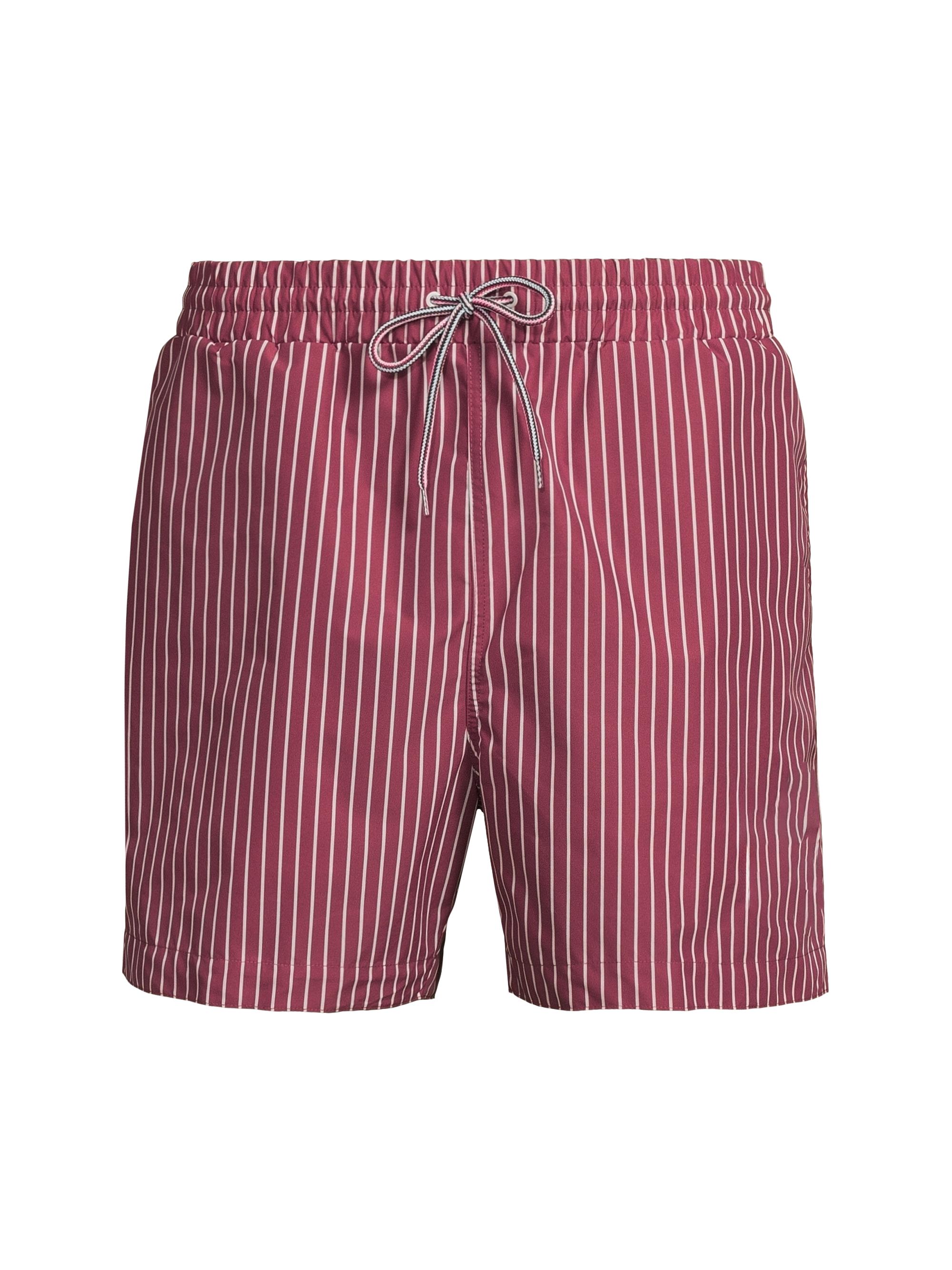 Pinstripe Printed Swim Shorts