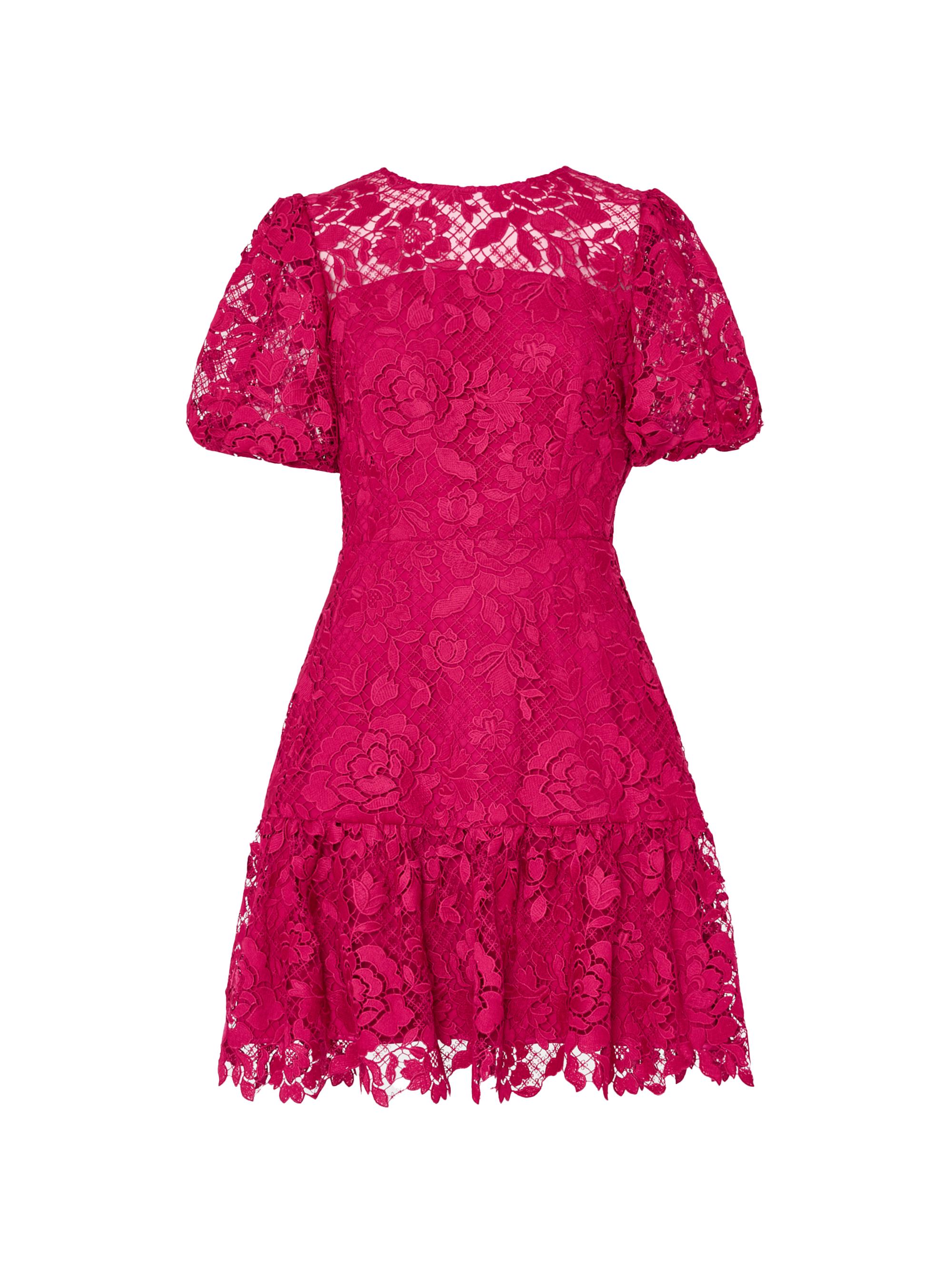 Milly Women's Yasmin Floral Lace Fit & Flare Minidress - Raspberry