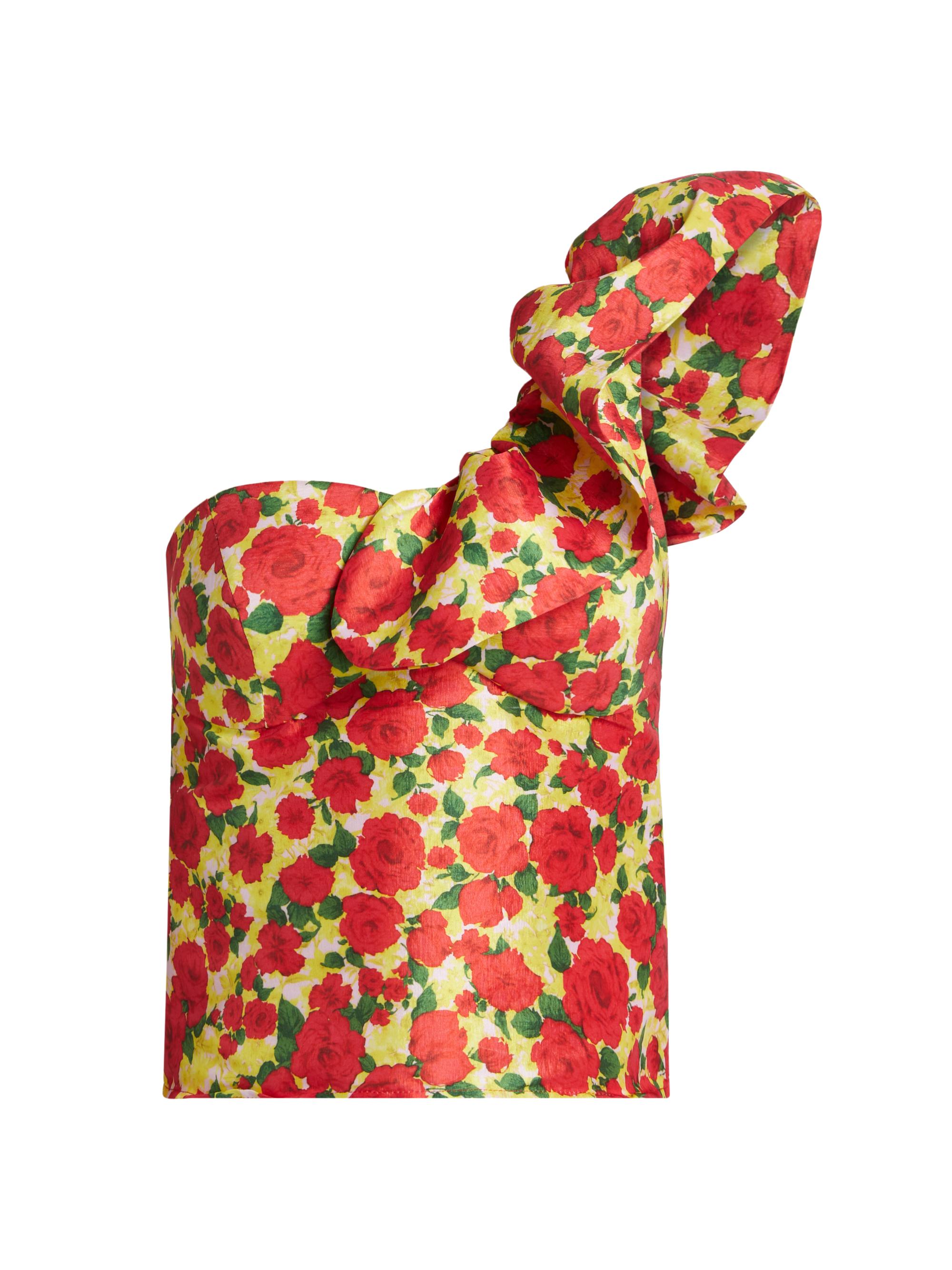 Kika Vargas Women's Yazmeen Rose Print Taffeta One-Shoulder Top - Red
