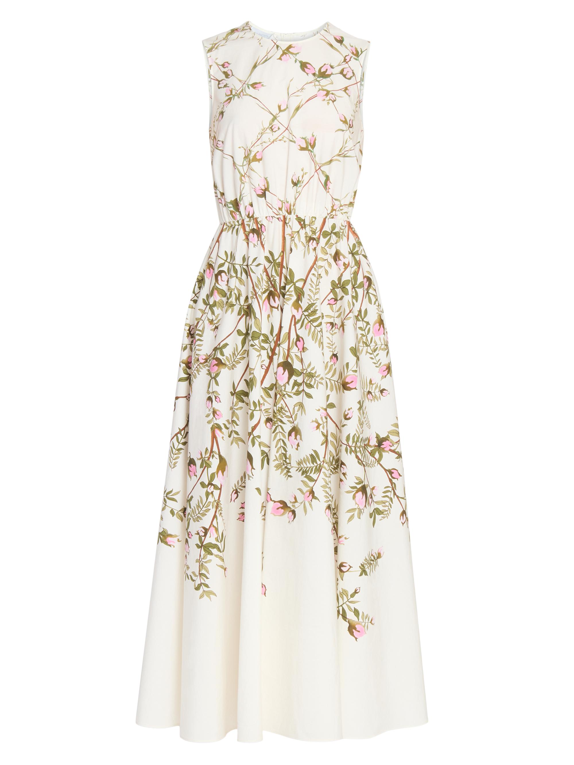 Giambattista Valli Women's Floral Cotton Poplin Midi-Dress - Rose Multi