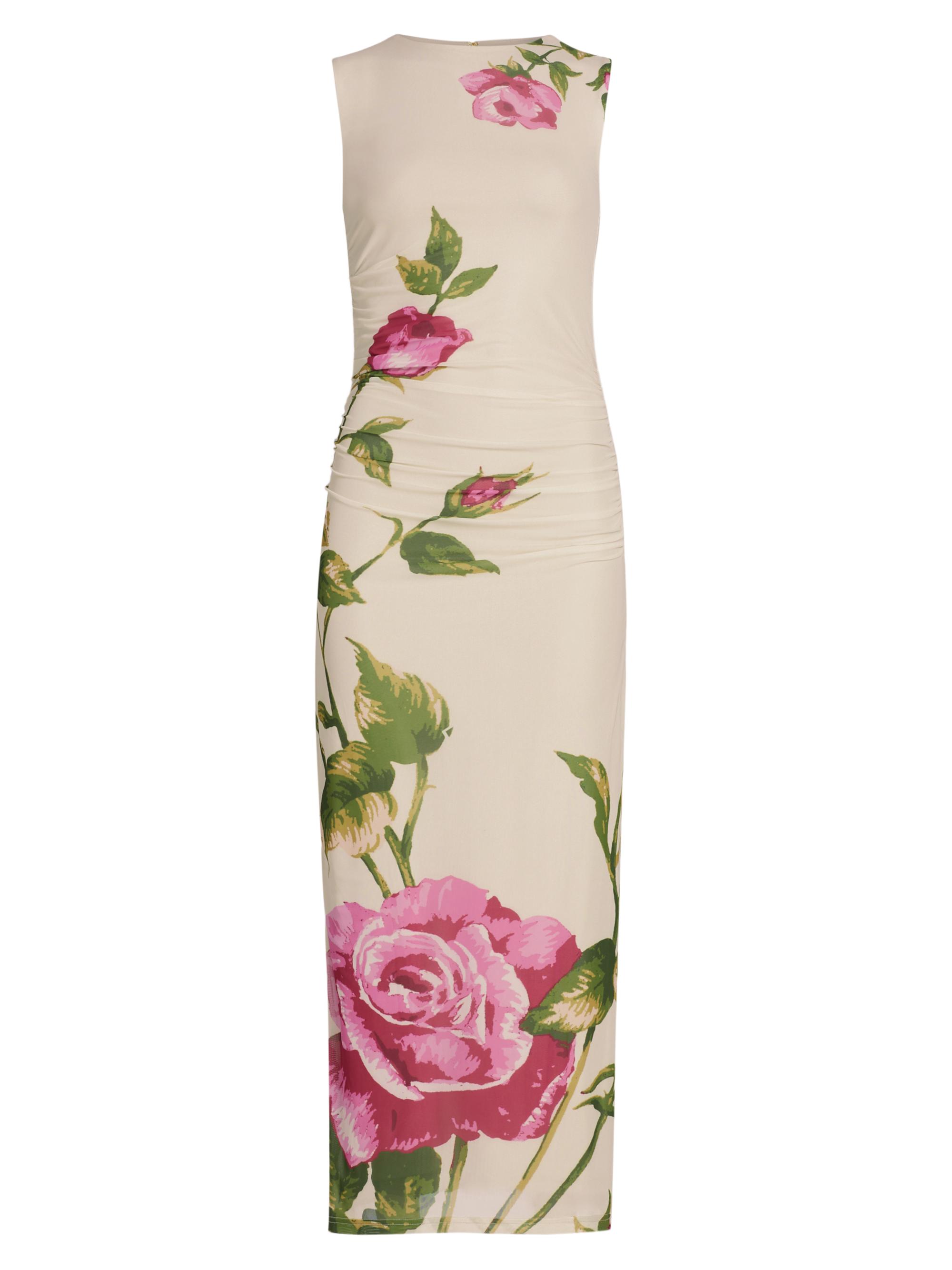 Aston Studio Women's Ariel Floral Mesh Midi-Dress - Antique Rose