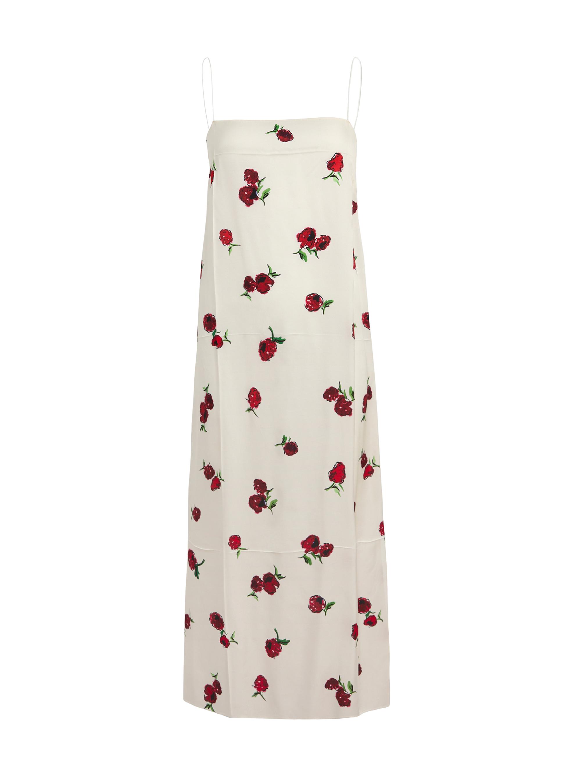 Khaite Women's Sicily Silk Raspberry Print Slip Dress - Raspberry Cream