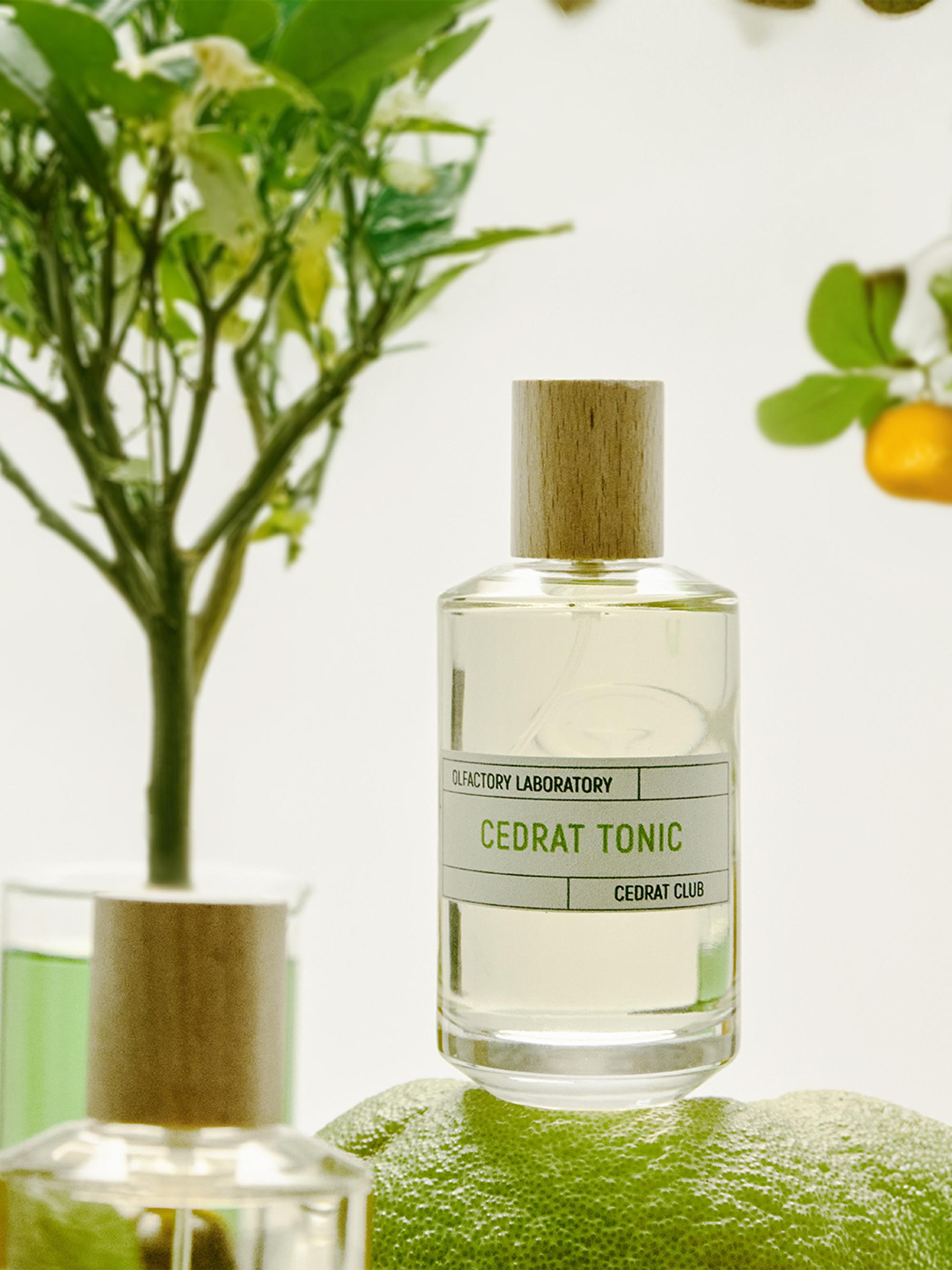 Liquides Imaginaires Cedrat Tonic Eau de Parfum | Saks Fifth Avenue