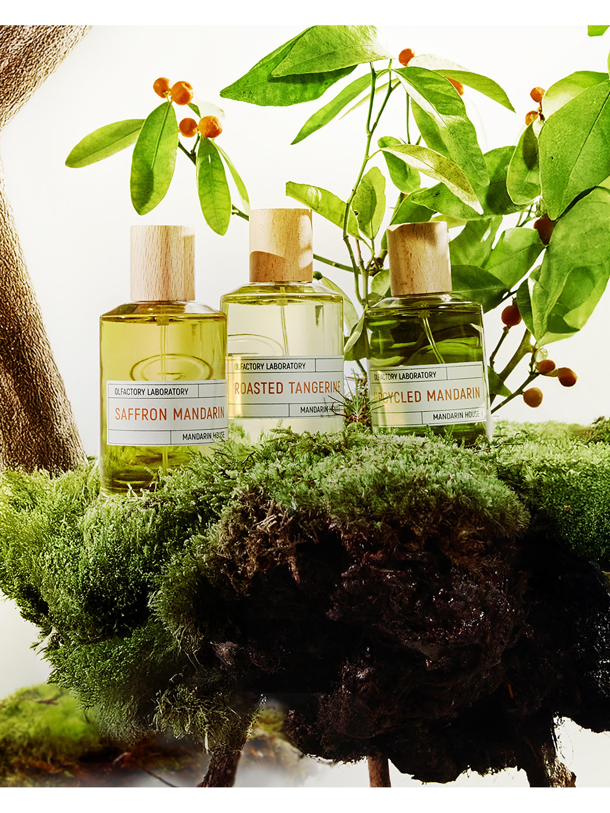 Liquides Imaginaires Roasted Tangerine Eau de Parfum | Saks