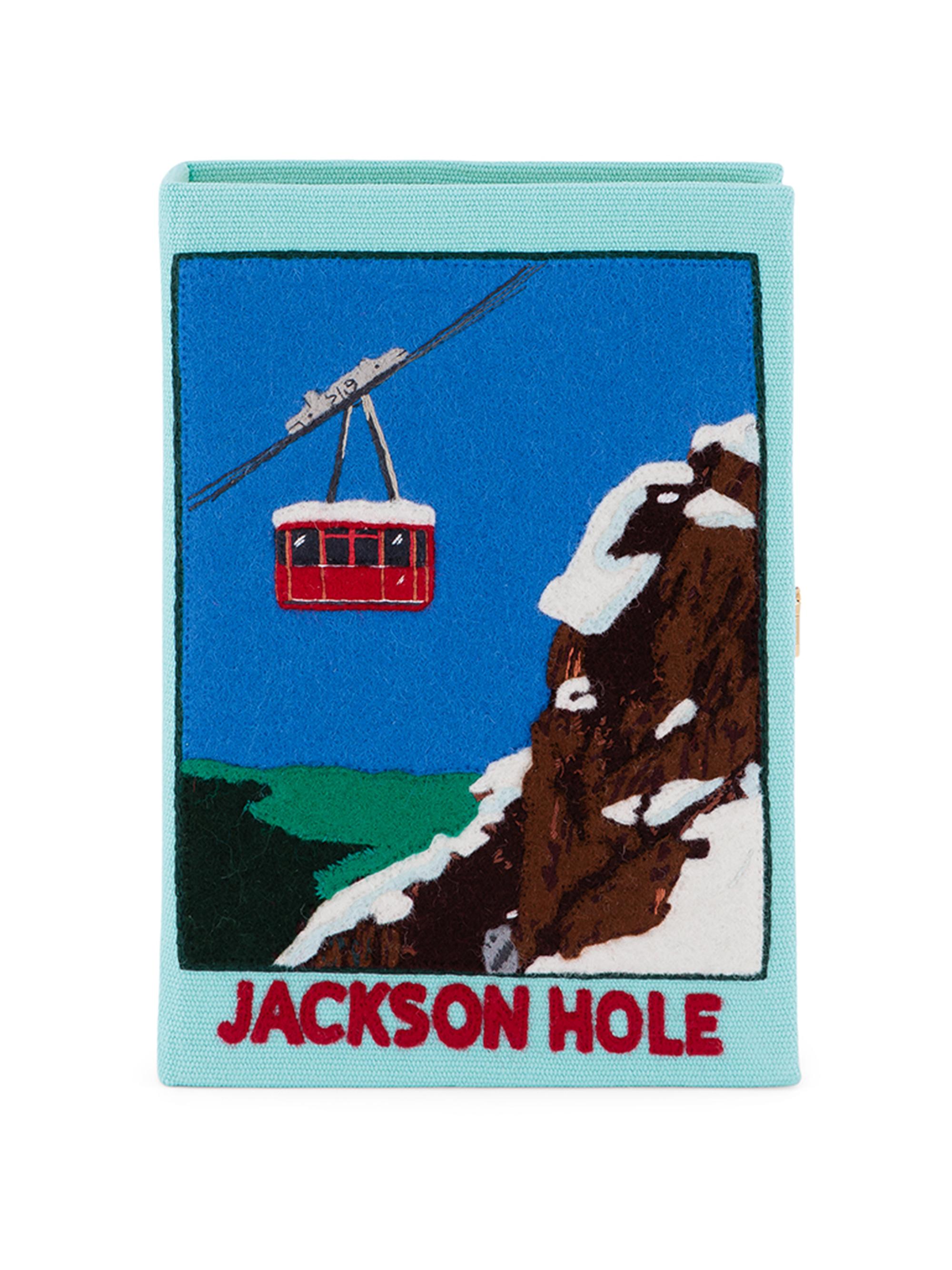 Olympia Le Tan Women's Jackson Hole Book Clutch - Aquamarine