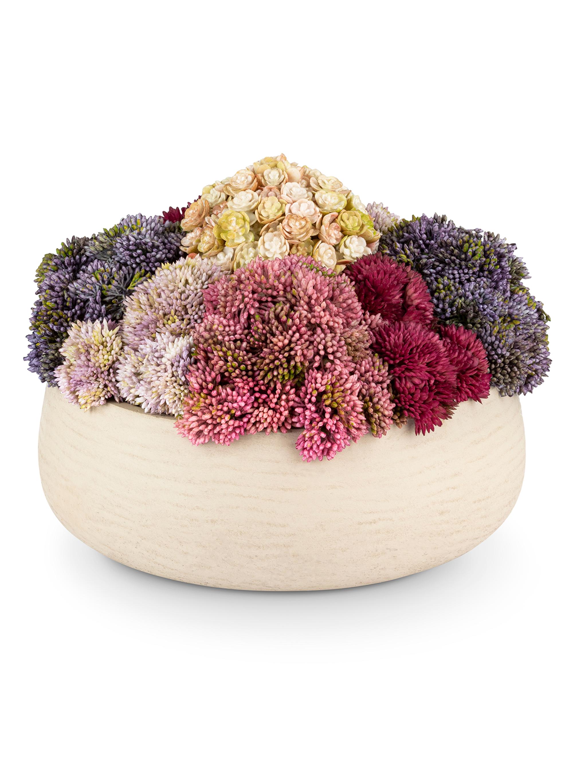 CocoBella Deveraux Sedum Arrangement - Red Multicolor