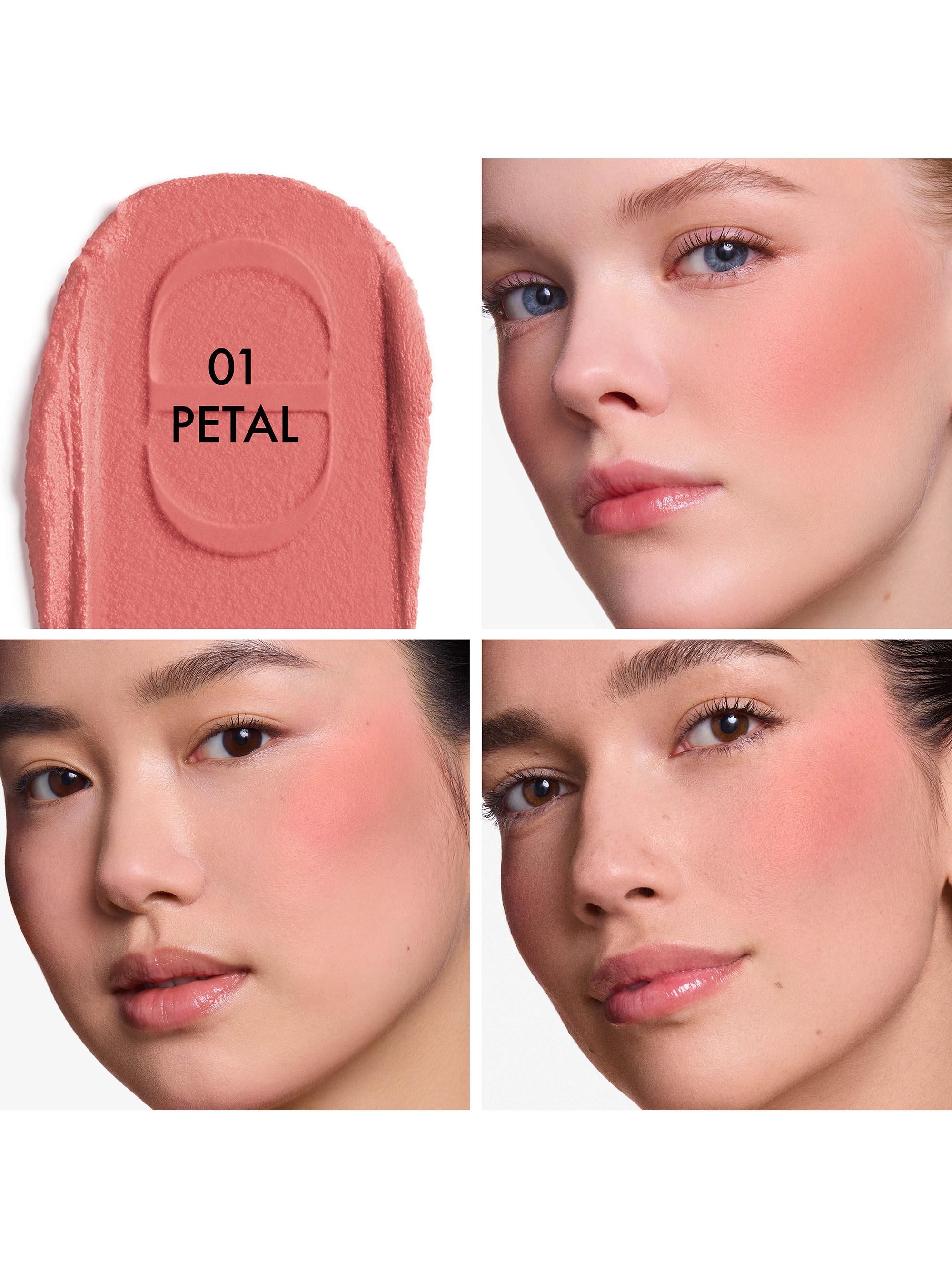 Dior Dior Forever Blush Soft Filter | Saks Fifth Avenue