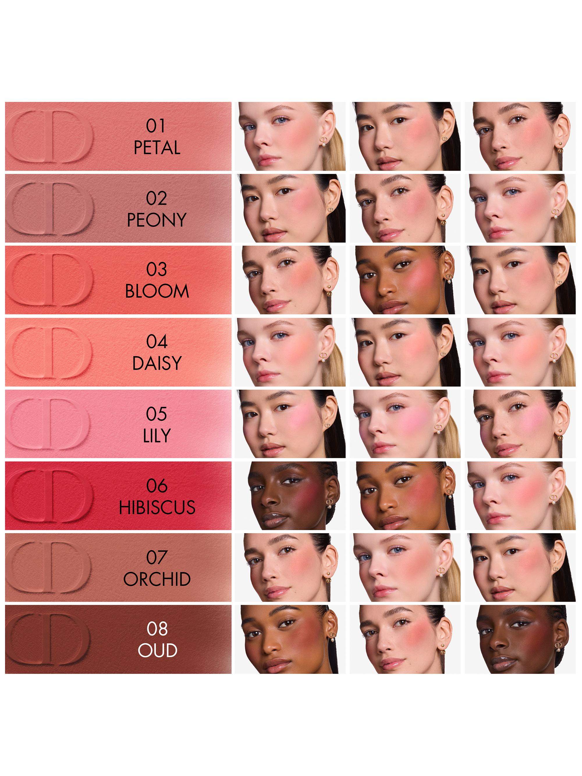 Dior Forever Blush & DiorShow Liner セット Dior Dior Forever Blush Soft Filter | Saks Fifth Avenue