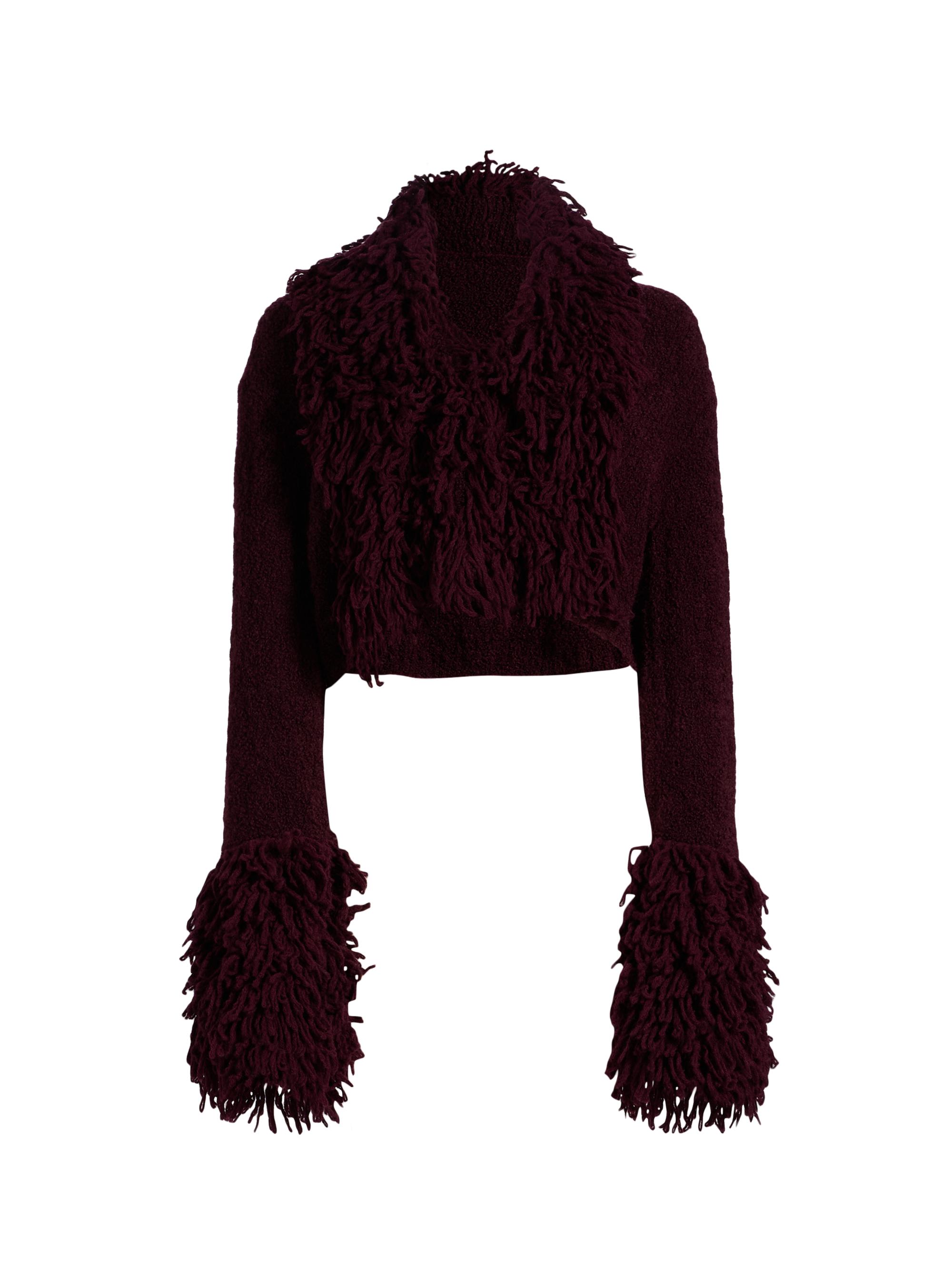 Amur Women's Lilia Fringe-Trimmed Knitted Top - Pinot Nior